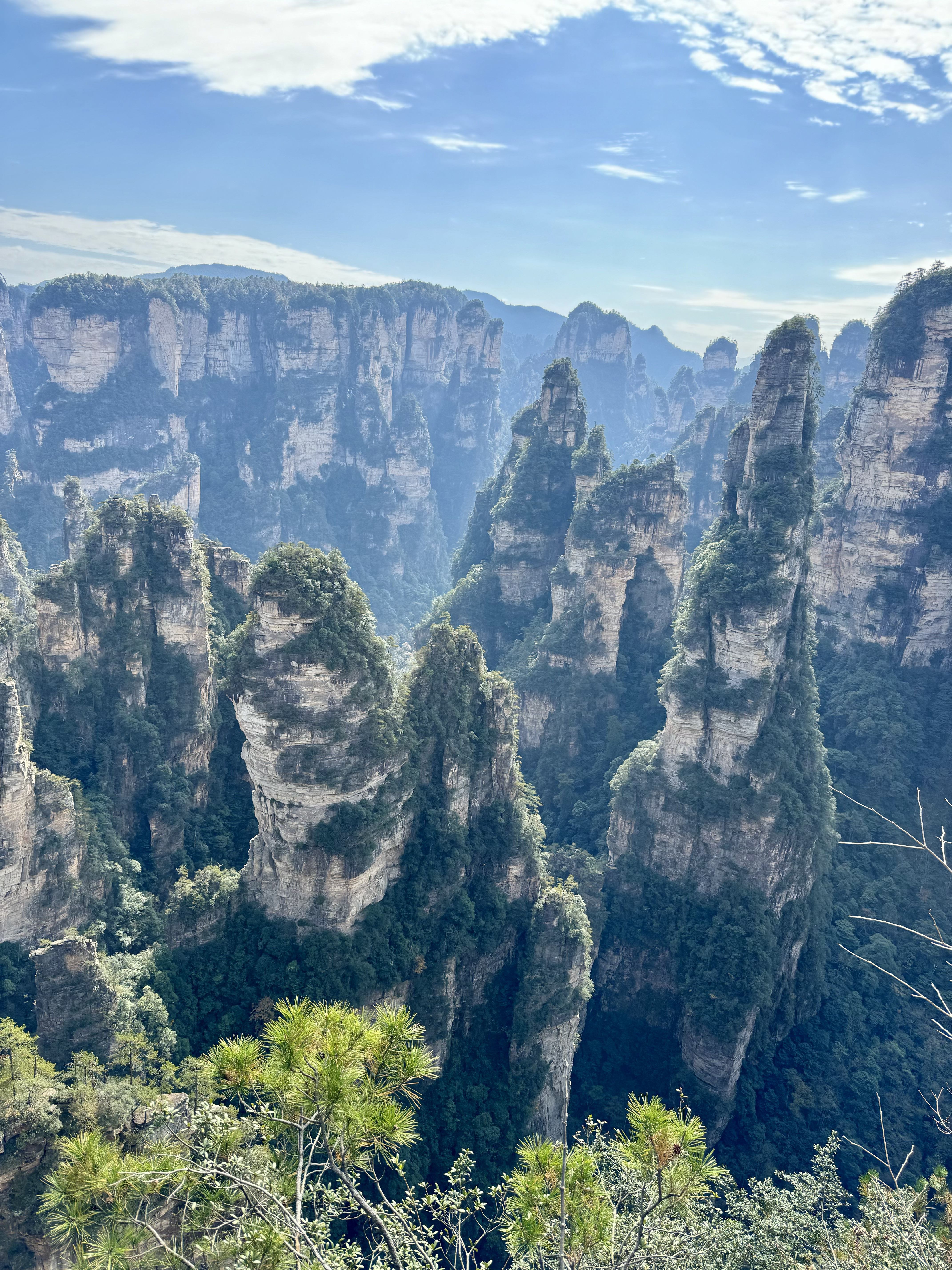 Южный Китай. Горы Аватара