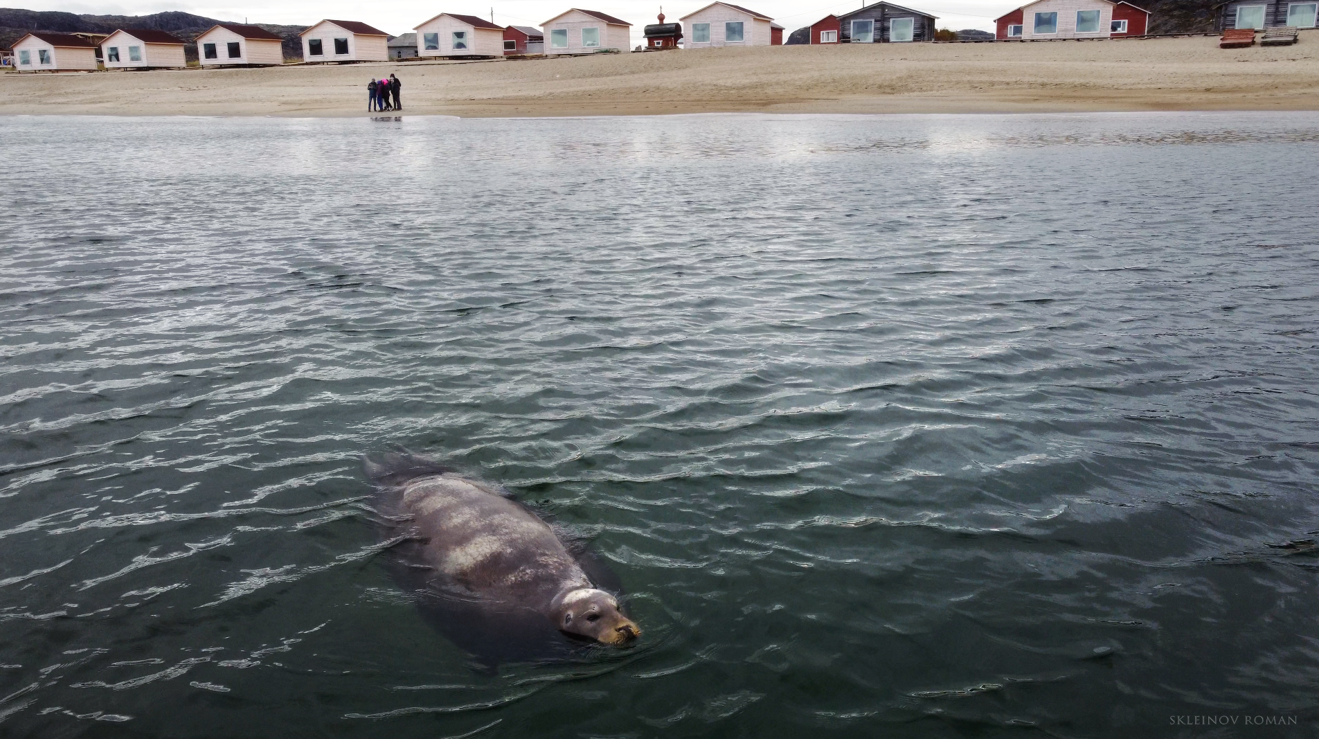 Кольский. Север, в который захочется вернуться (тур с фотографом) (63/67)