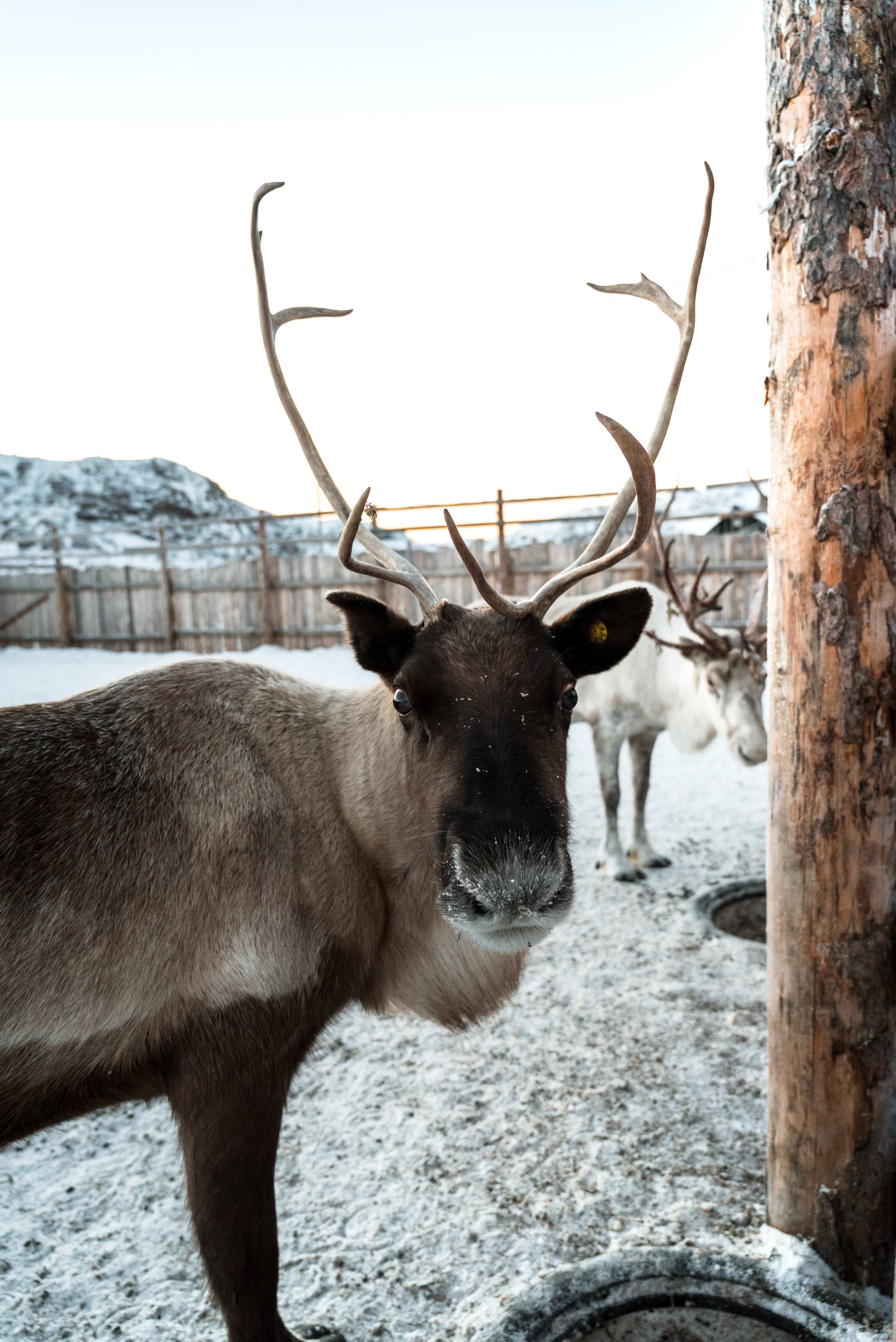 Кольский. Север, в который захочется вернуться (тур с фотографом) (30/67)