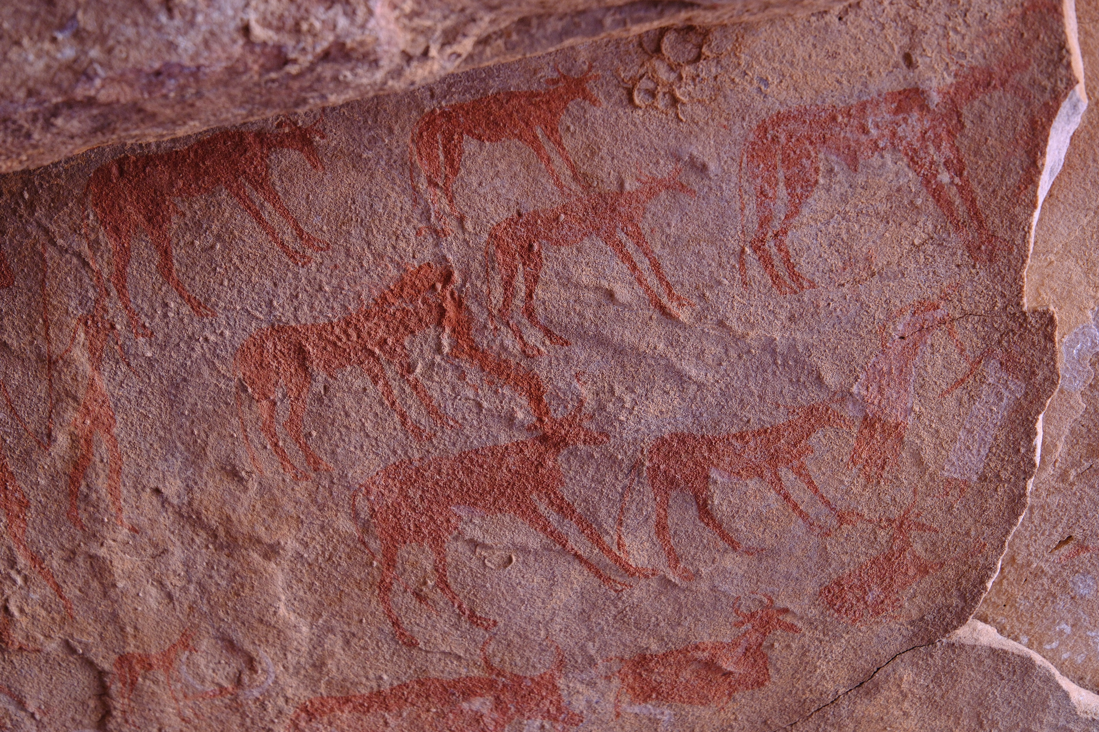 Алжир. Настоящая Сахара (3/39)