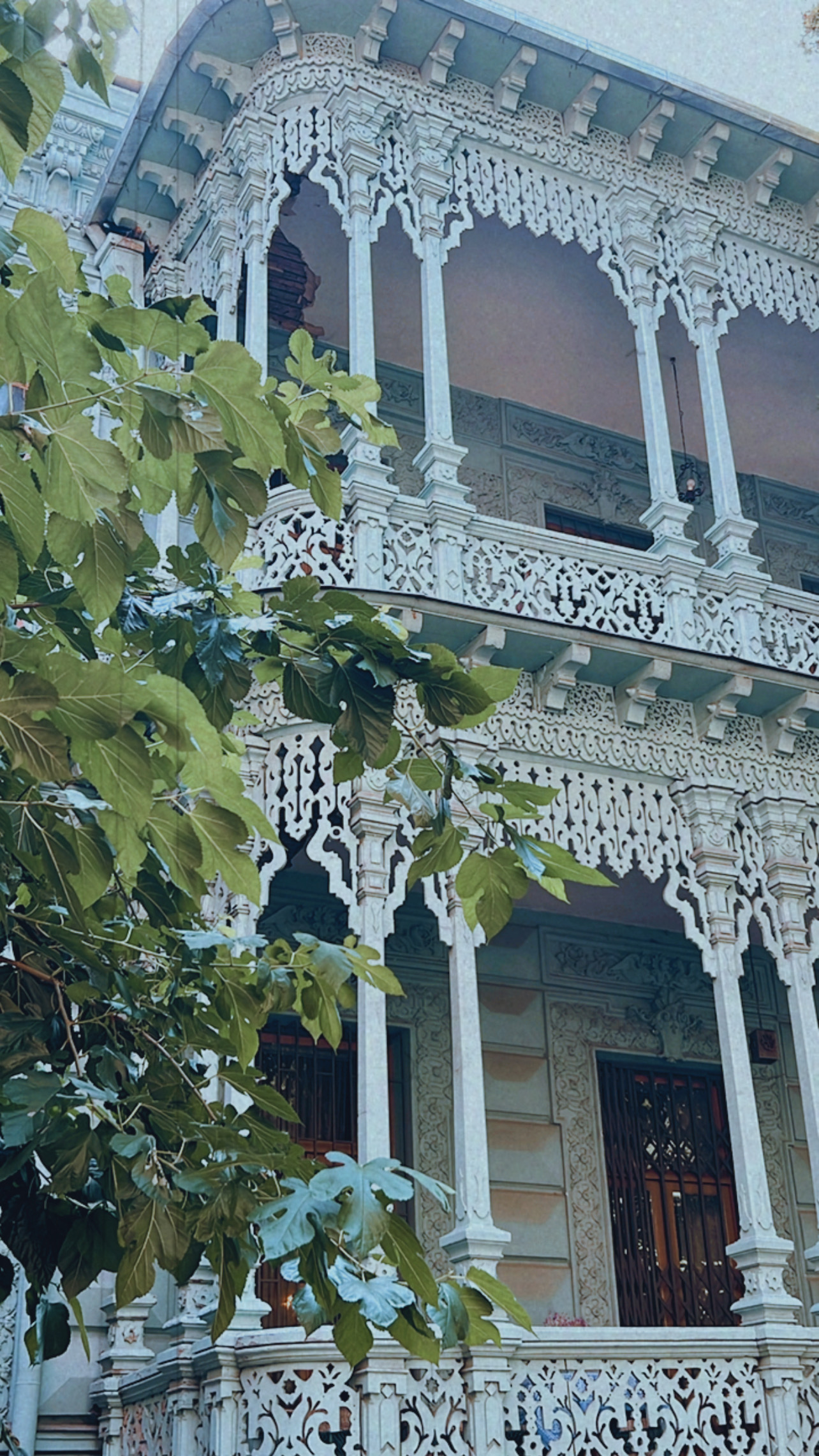 Удивительная Грузия: Тбилиси+Казбеки+Кахетия (94/152)