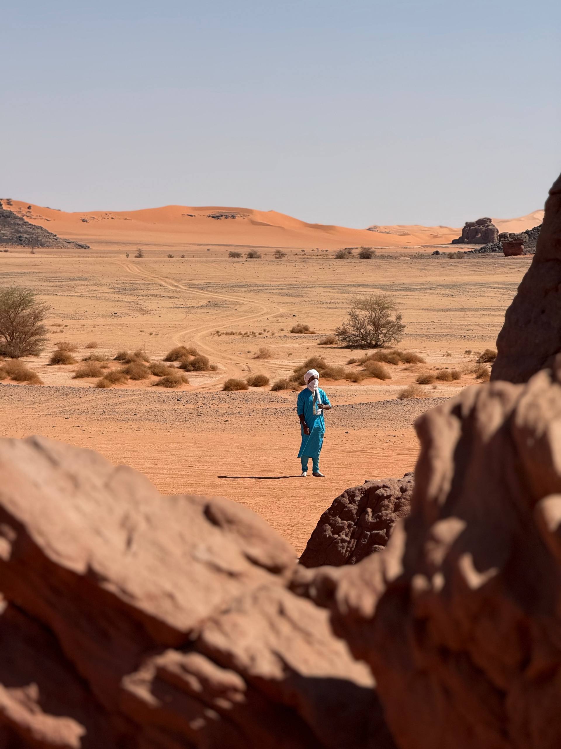 Алжир. Настоящая Сахара (5/39)