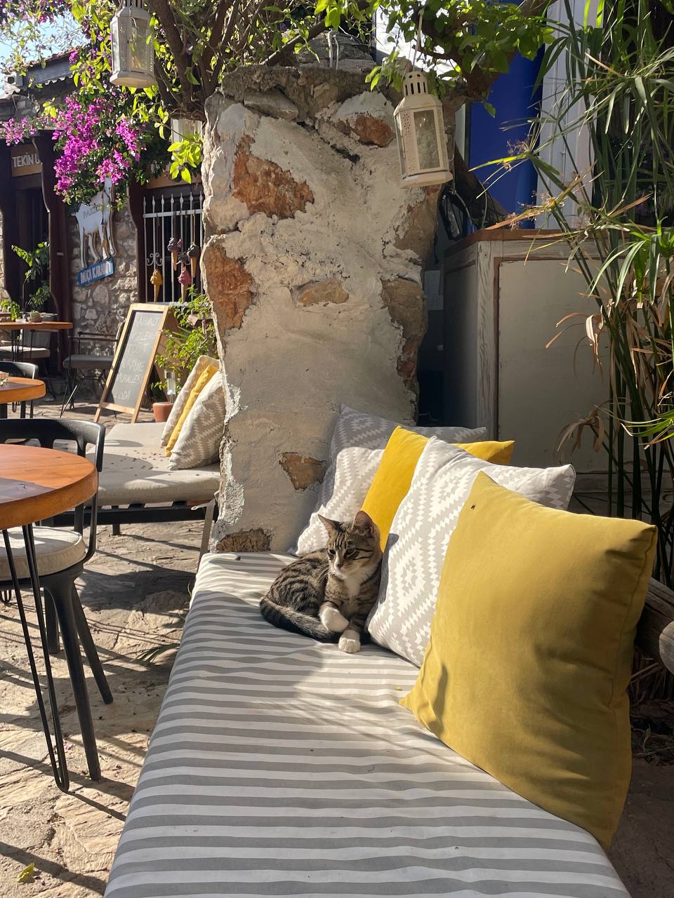 Карийская тропа. Весна и два моря (6/11)