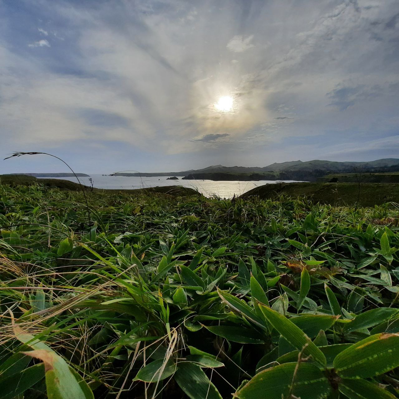 Шикотан и Кунашир - пешее приключение на Южных Курилах, полный отрыв от цивилизации (20/64)