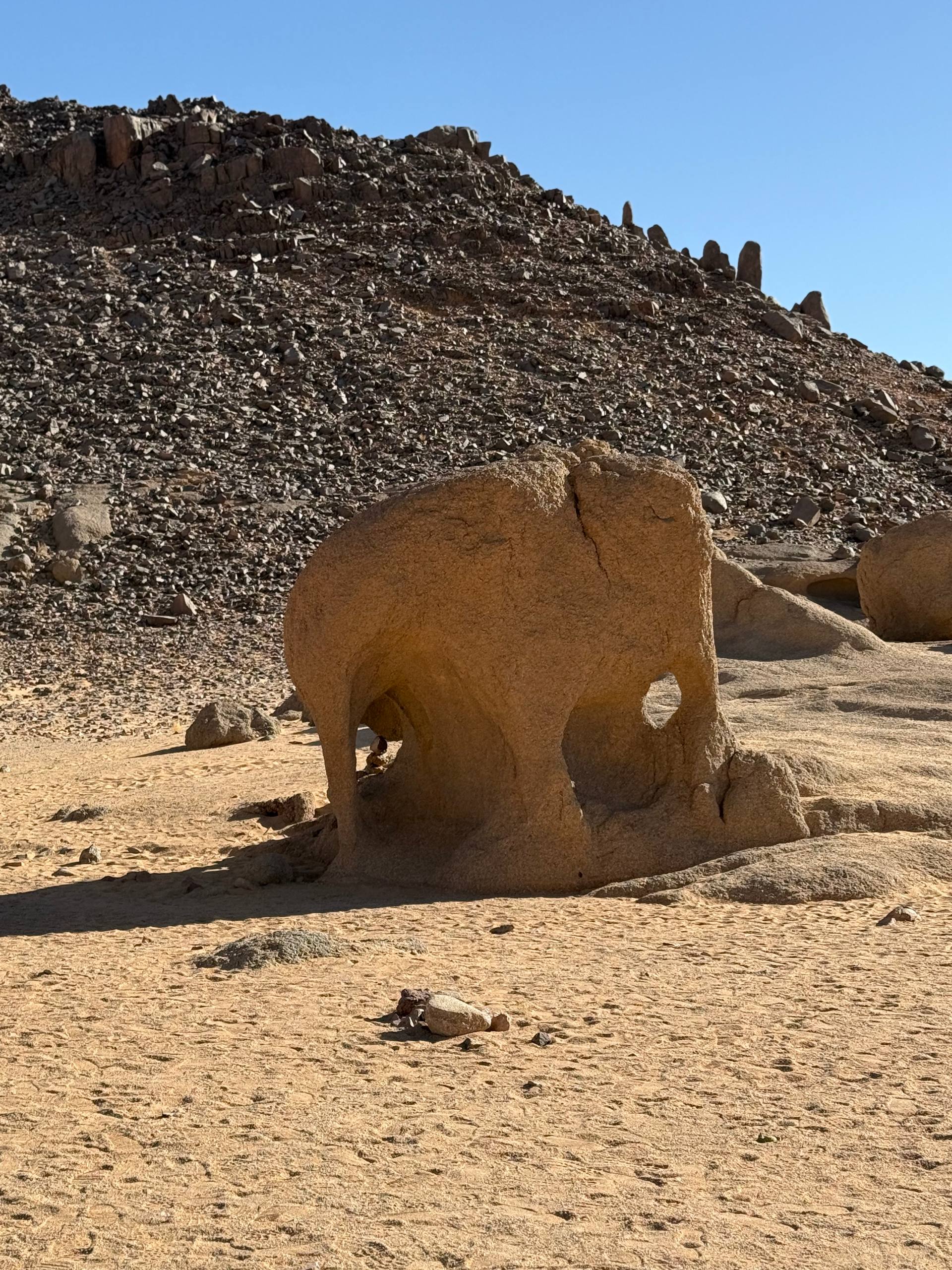 Алжир. Настоящая Сахара (10/39)