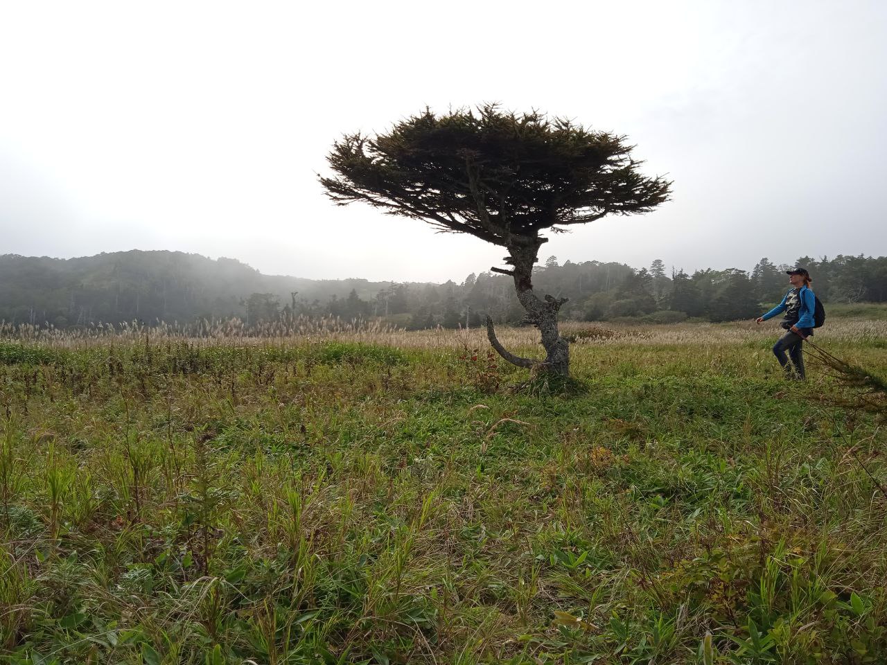 Шикотан и Кунашир - пешее приключение на Южных Курилах, полный отрыв от цивилизации (13/64)