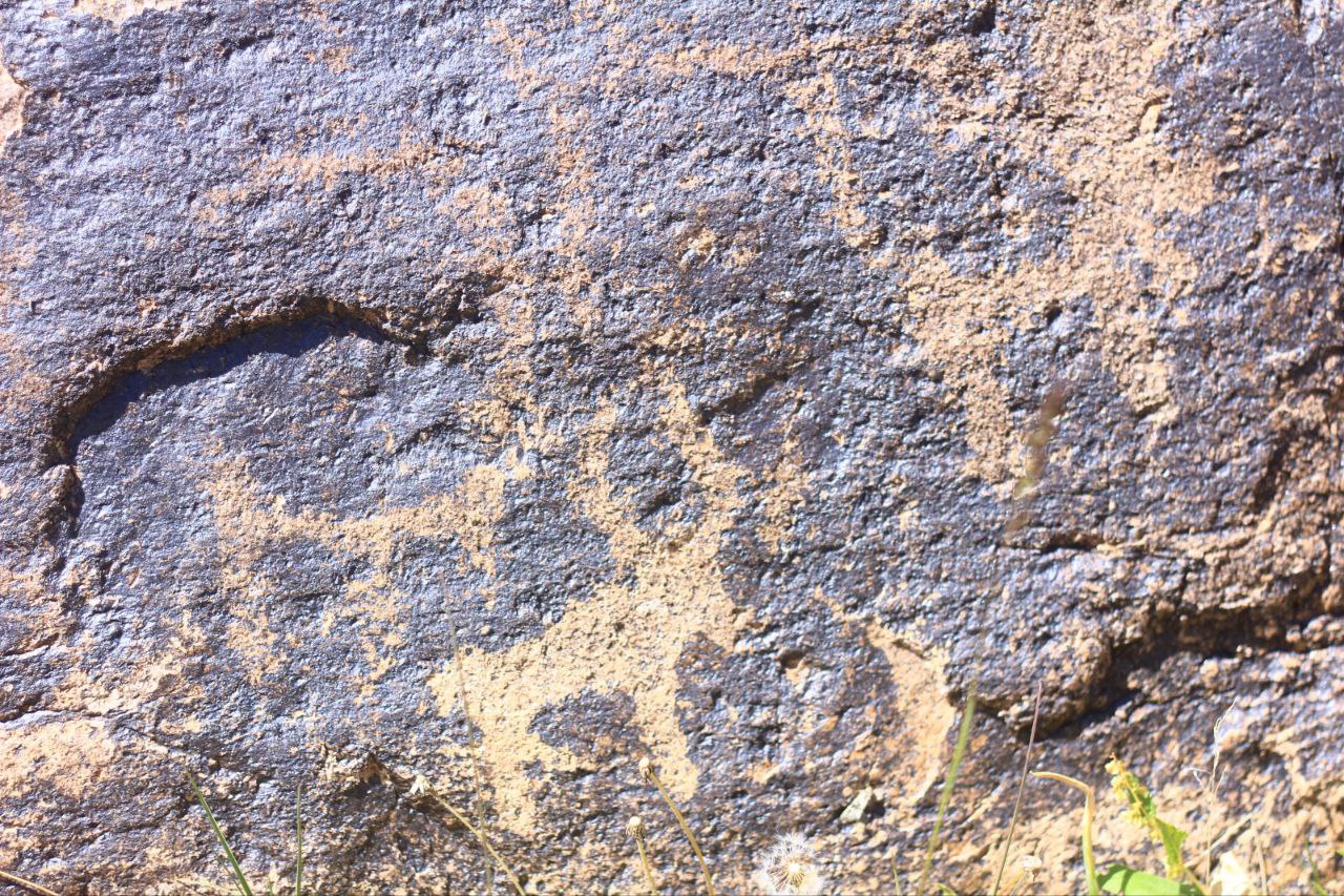 Тянь-Шань. Ущелье Сайрам Су и Долина предков (3/9)