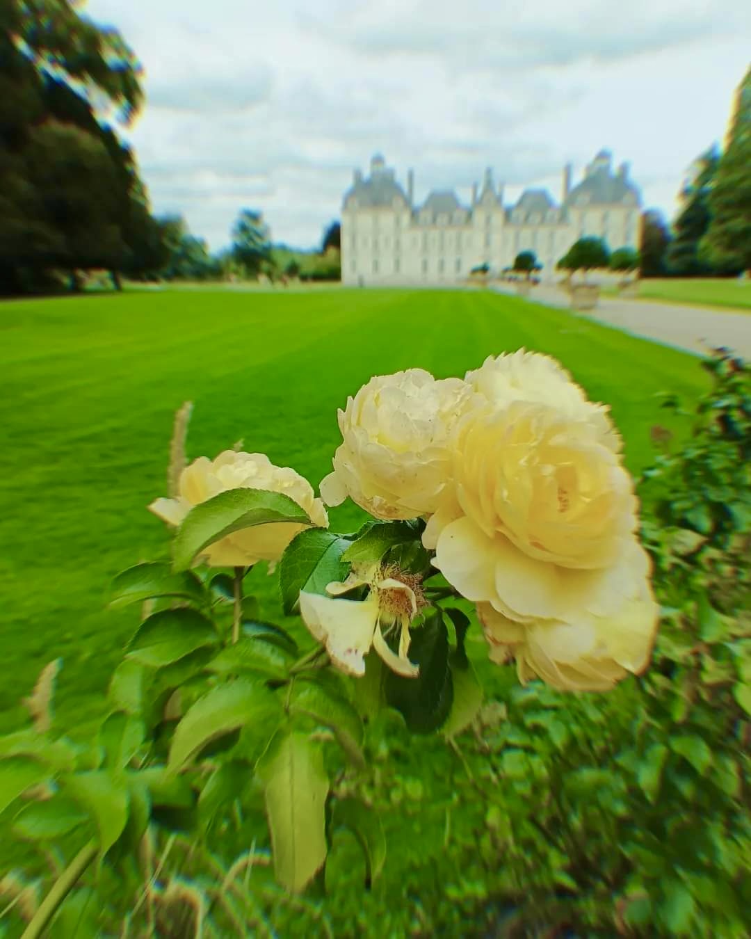 Франция Классика: 6 городов и факультативные экскурсии (заезд в субботу) (4/42)