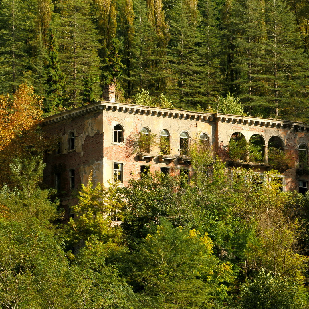 Абхазия Души :  Дни Независимости & День Победы (9/48)