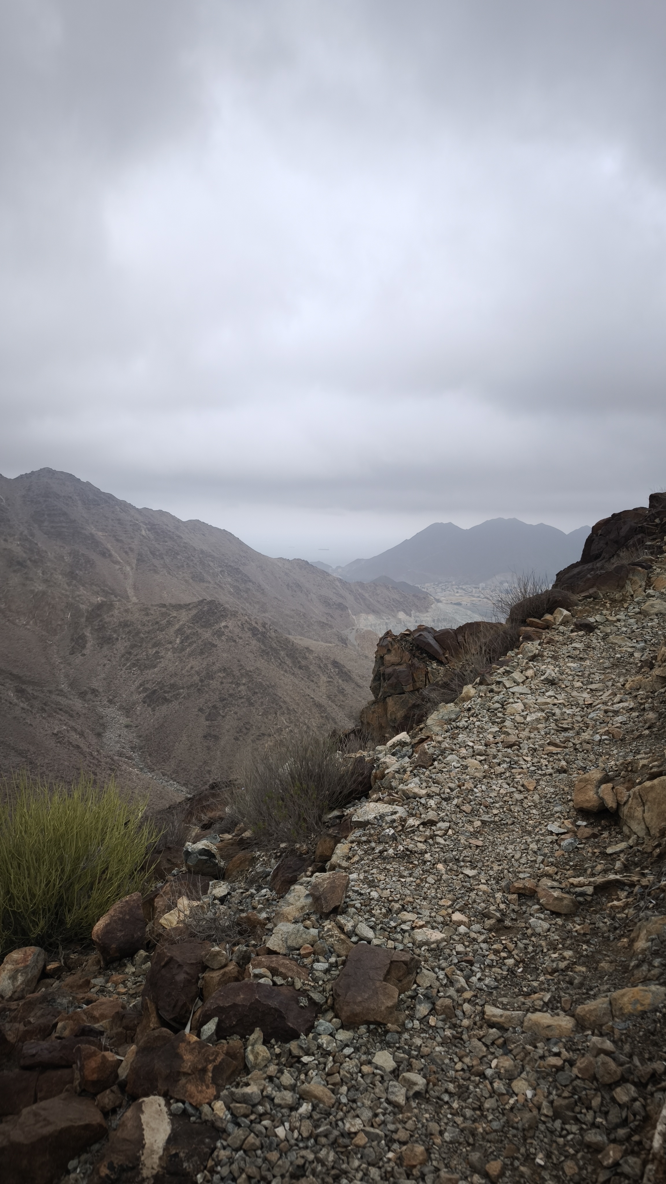 Не Дубай. Путешествие в другие Эмираты. Пустыни, горы и океан. (6/33)