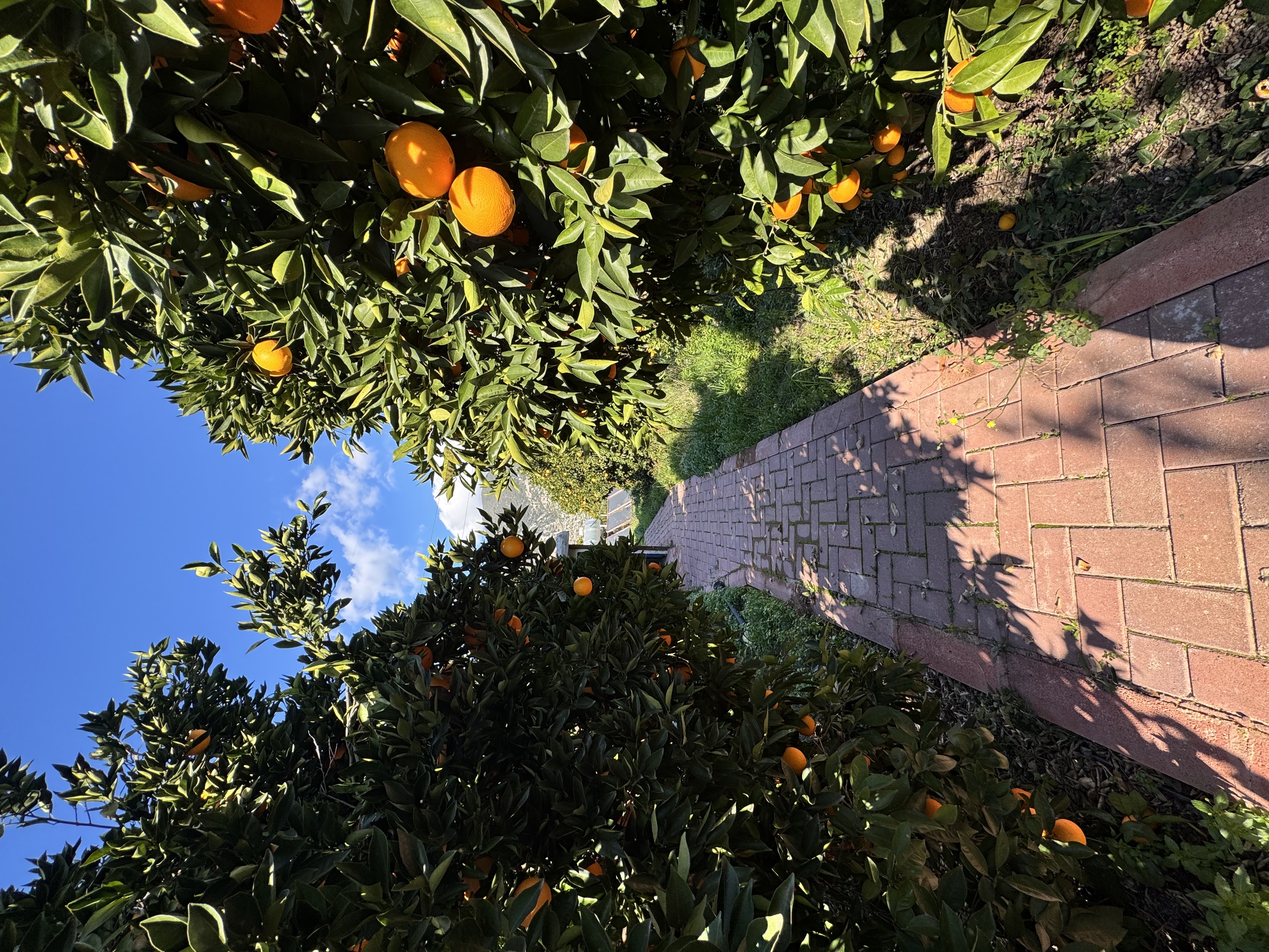 Прилет в Анталью / трансфер в Финике