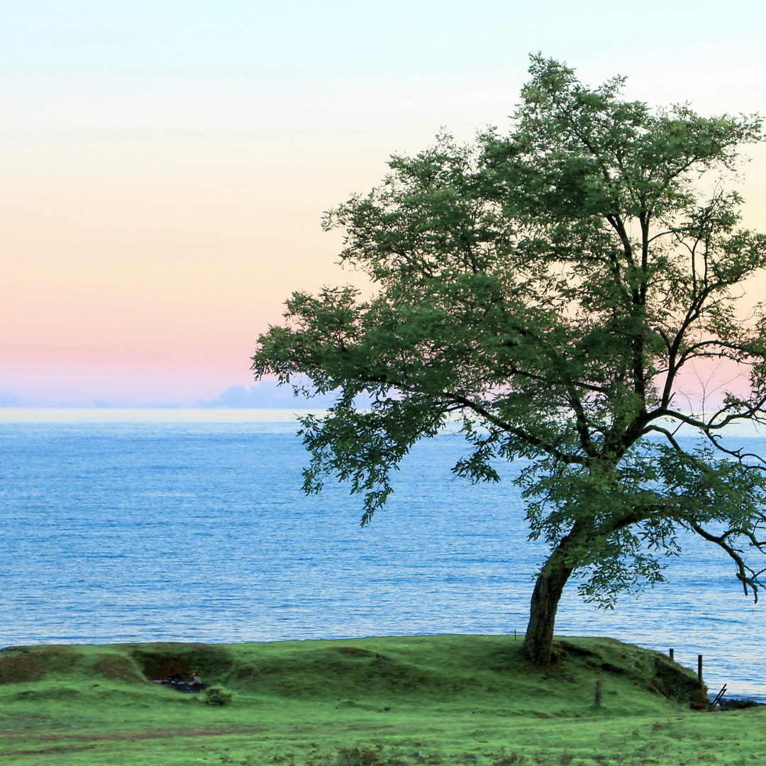 Абхазия Души :  Дни Независимости & День Победы (2/48)