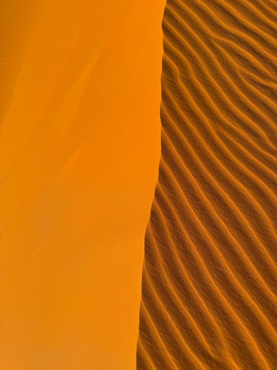 Алжир: настоящая Сахара