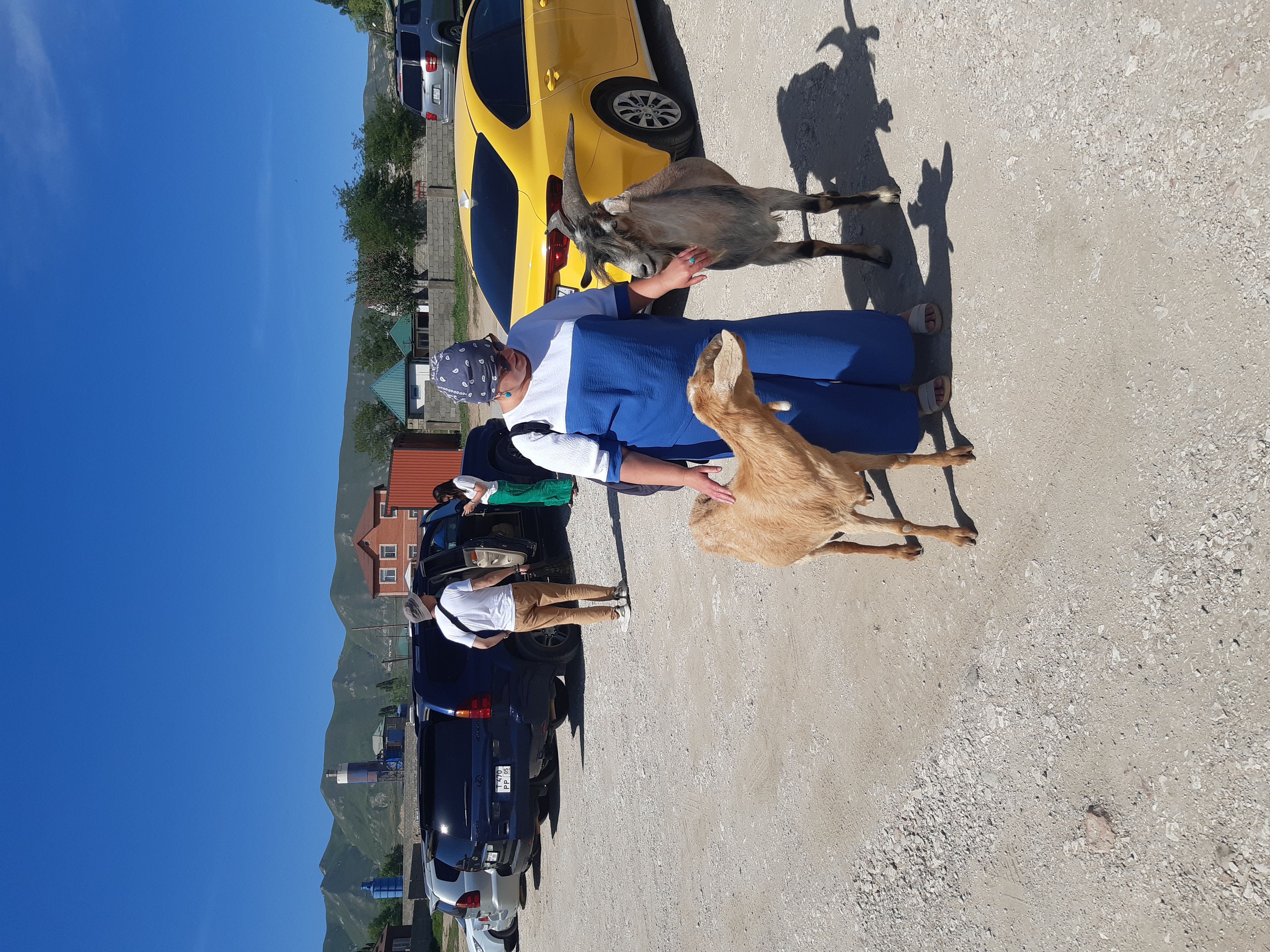 Кавказские приключения 7 дней все включено (9/14)