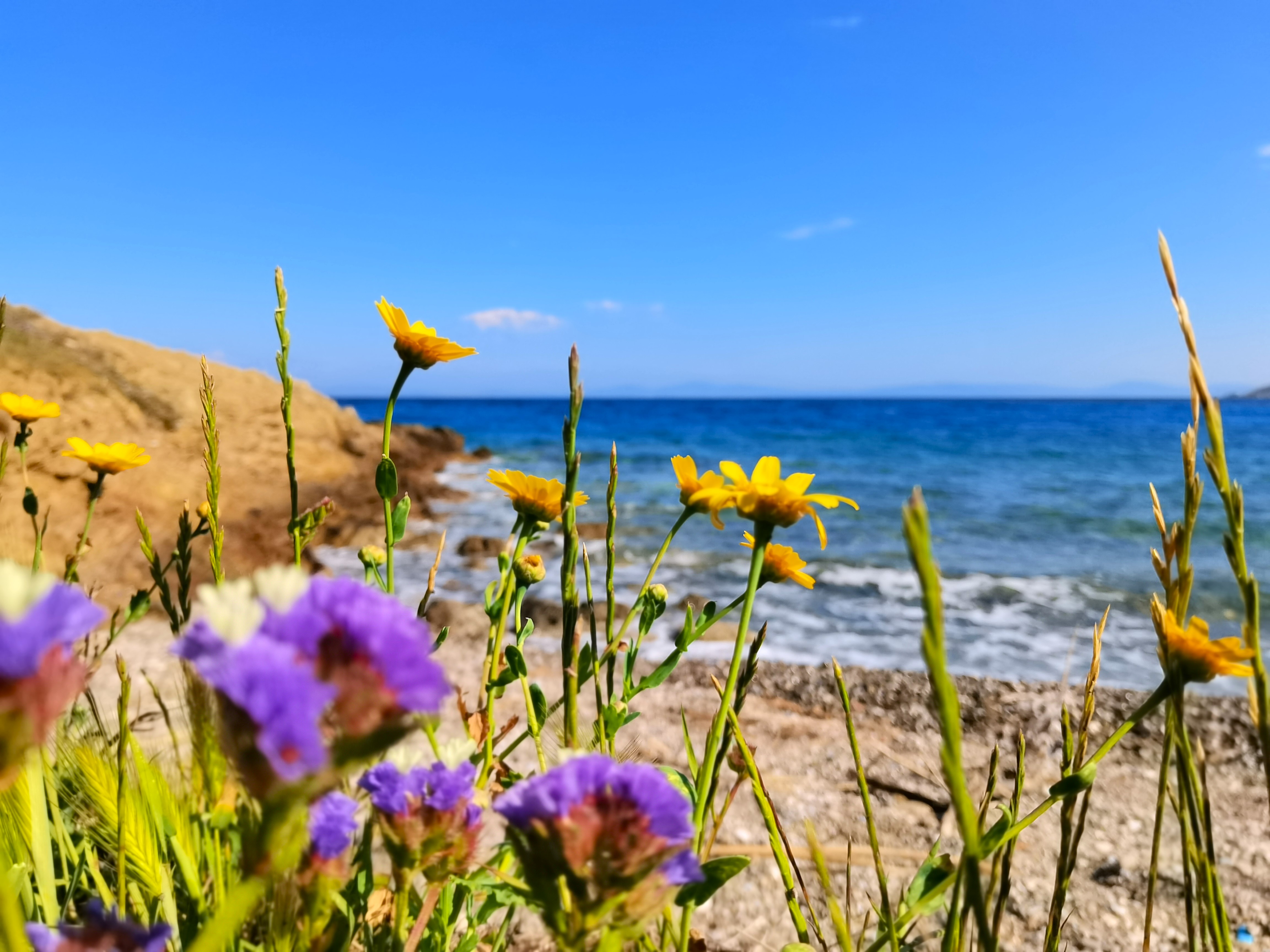 Карийская тропа (полуостров Датча) (7/19)