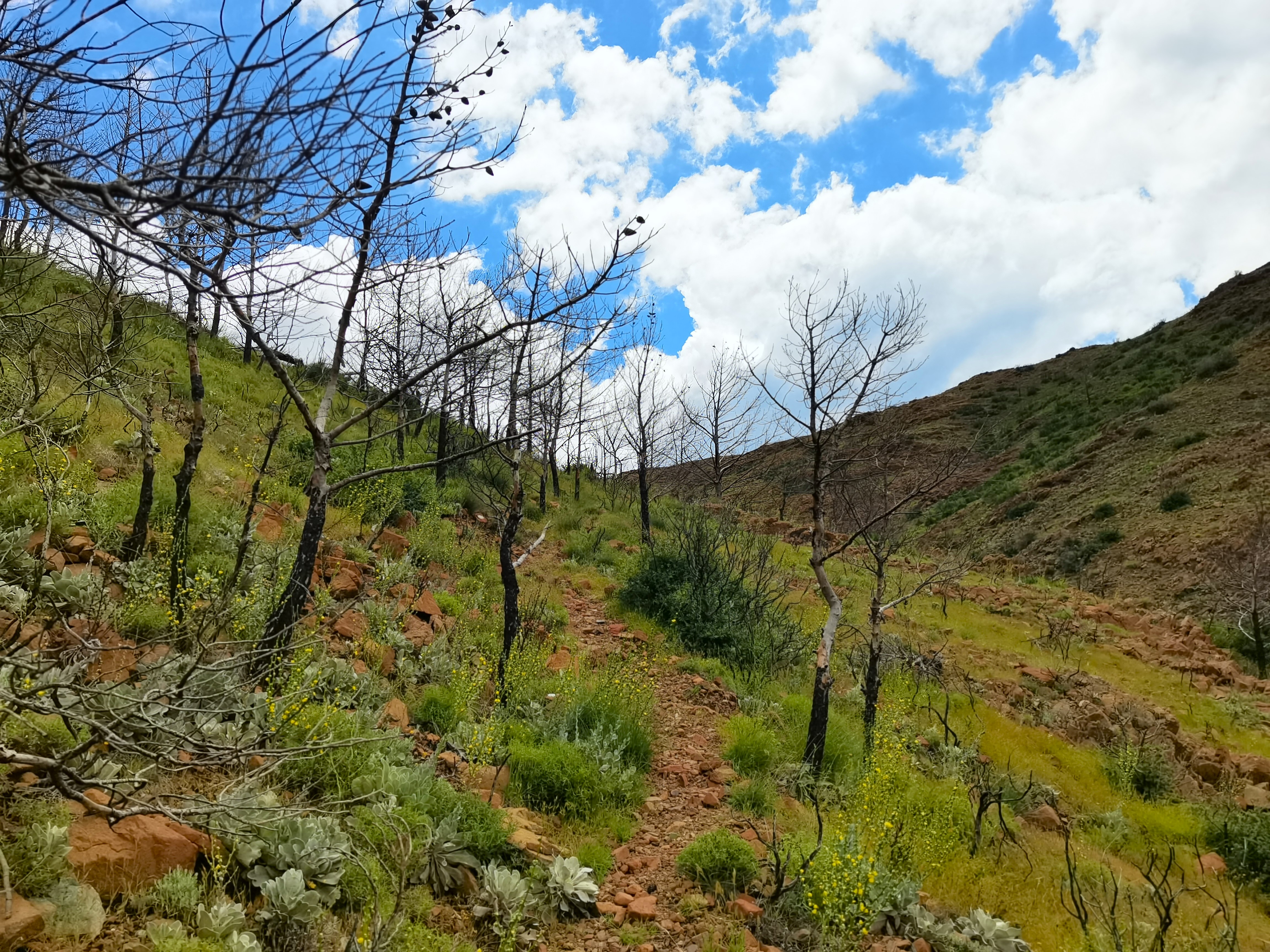 Карийская тропа (полуостров Датча) (19/19)