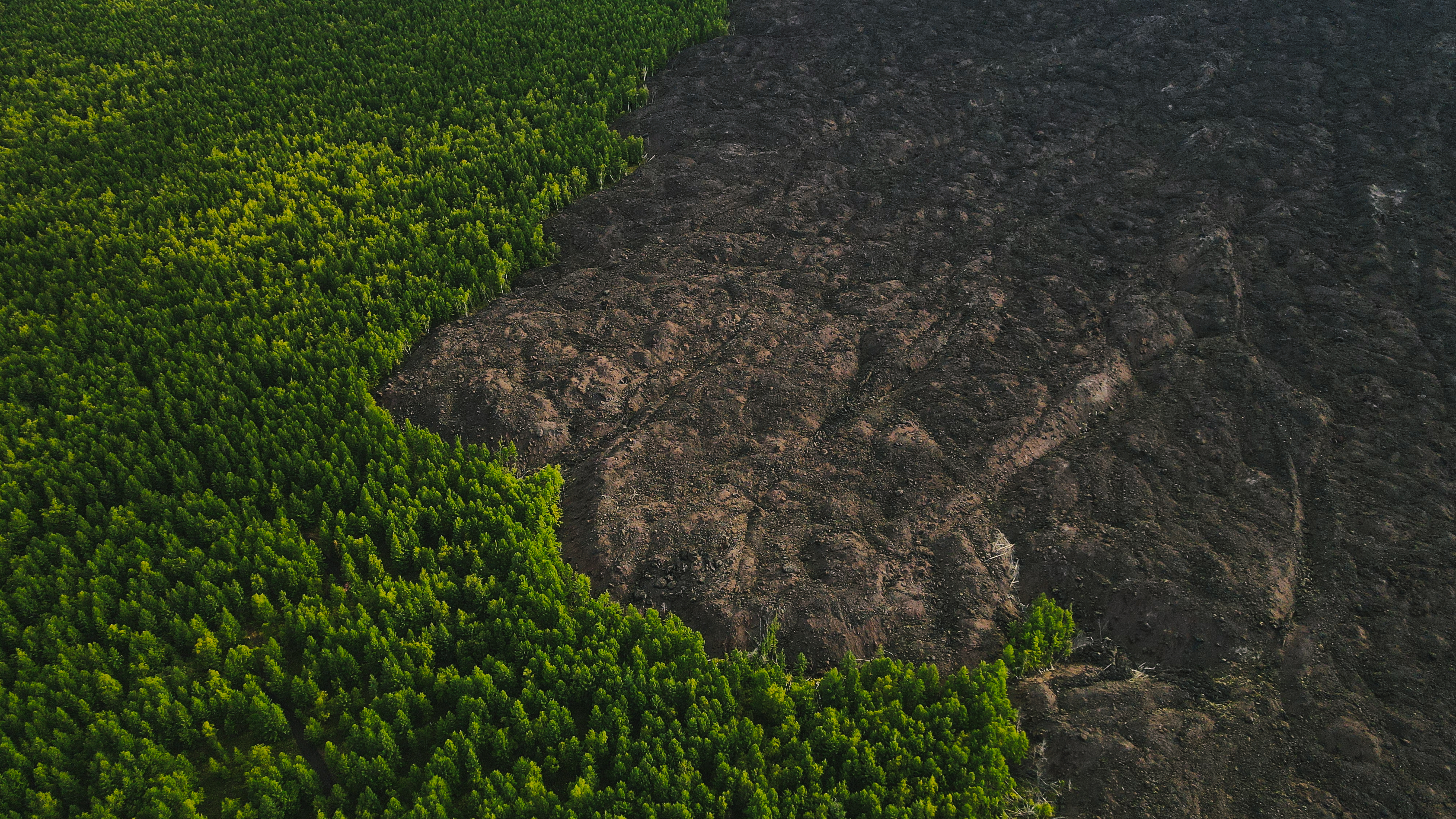 Вся Камчатка за 8 дней (лето) (60/90)