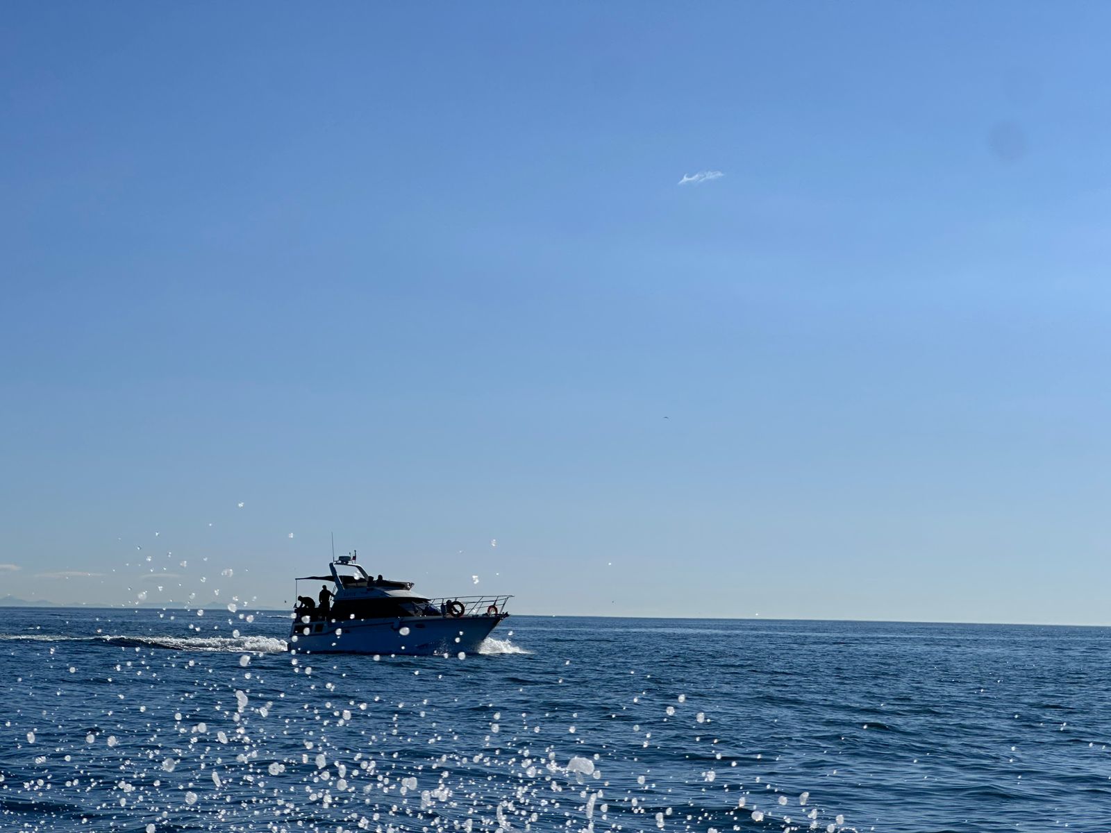 Морская прогулка на Камчатке  к острову Старичков длительность  6 часов (17/18)