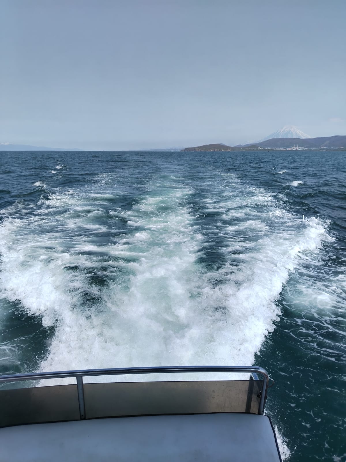 Идем к китам и косаткам - Морской круиз на Камчатке (29/39)