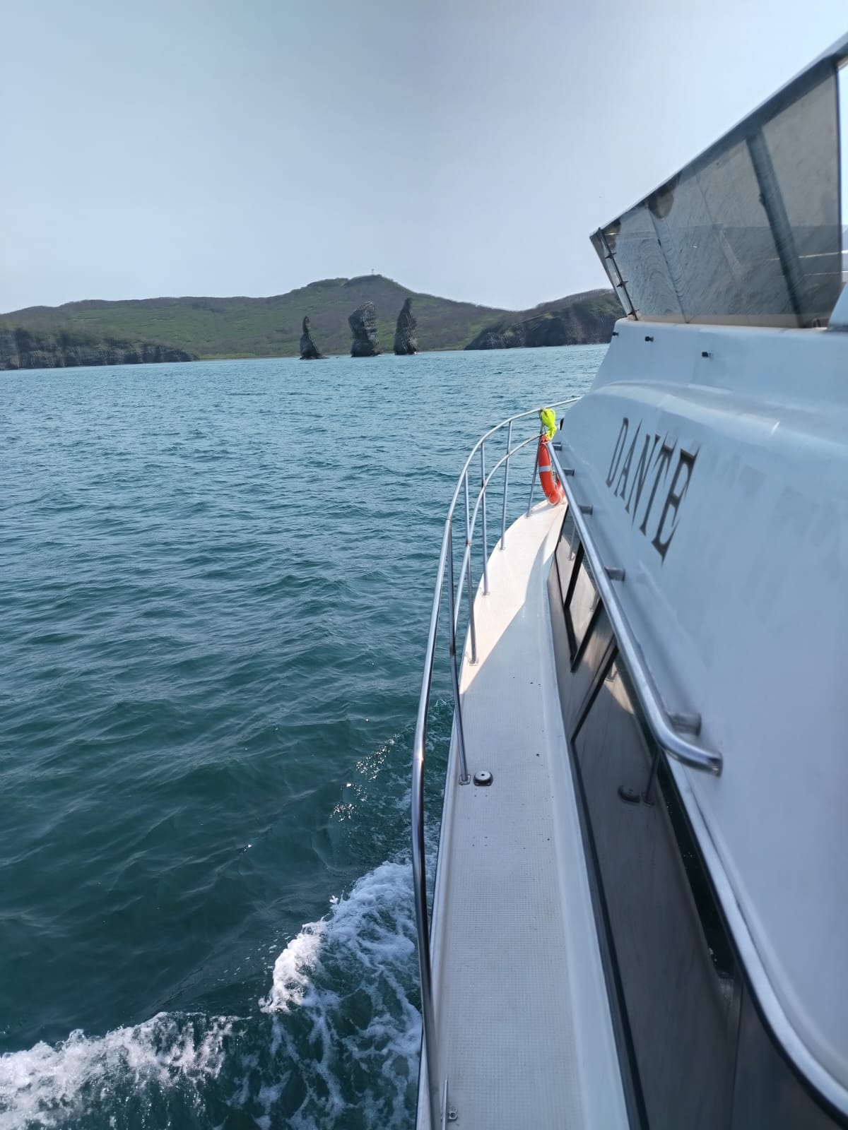 Идем к китам и косаткам - Морской круиз на Камчатке (28/39)