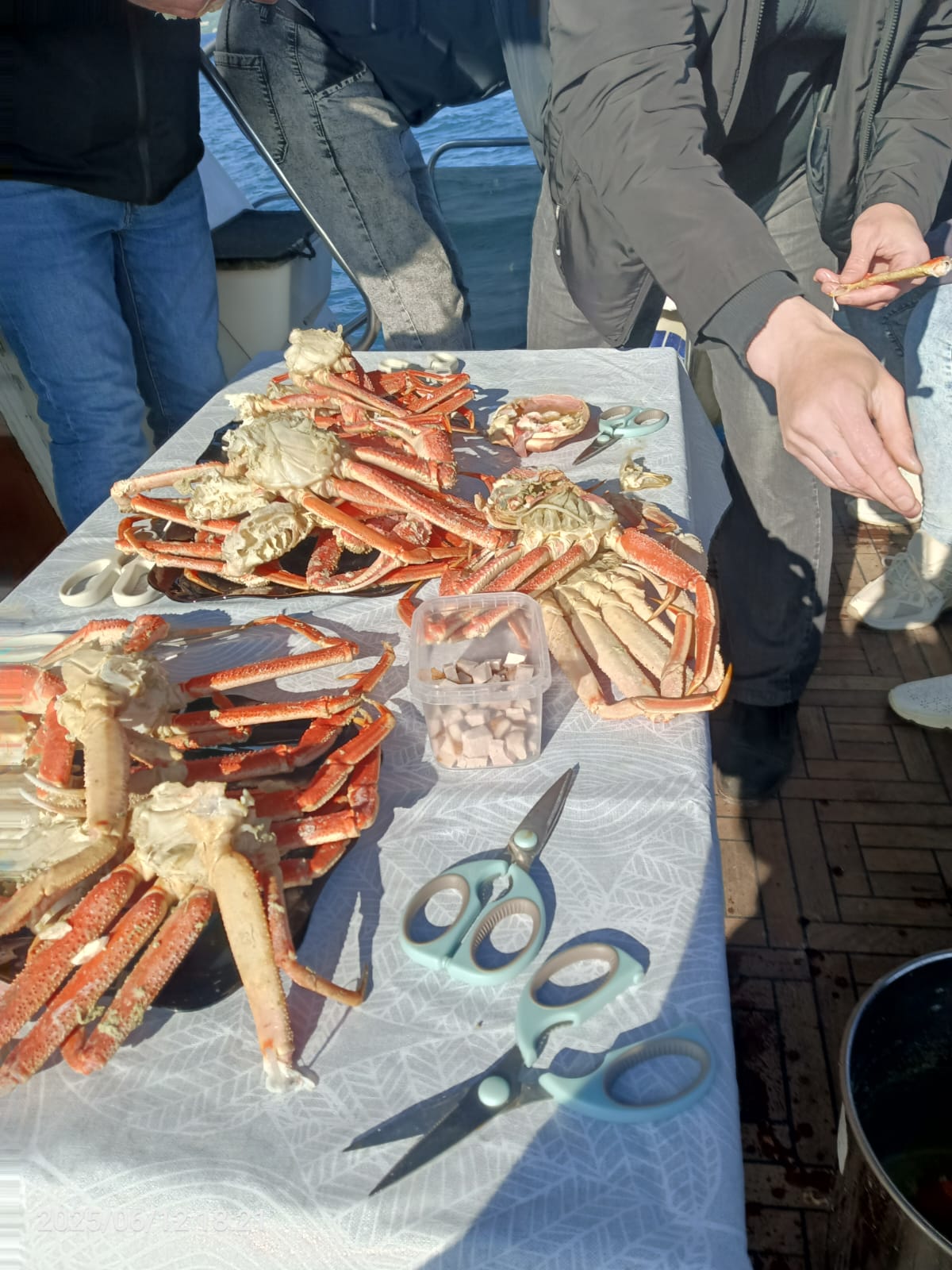 Идем к китам и косаткам - Морской круиз на Камчатке (33/39)