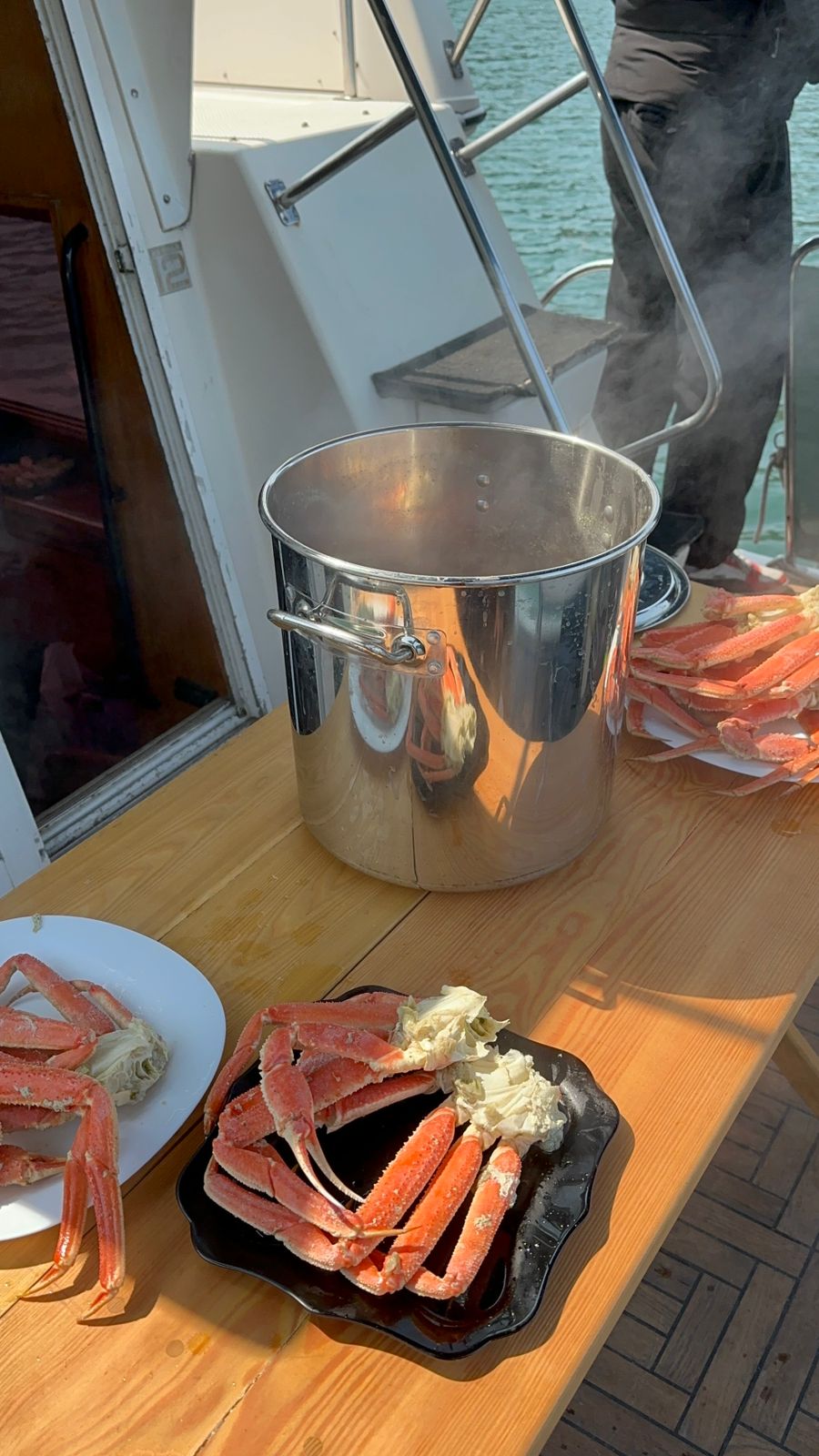 Идем к китам и косаткам - Морской круиз на Камчатке (18/39)