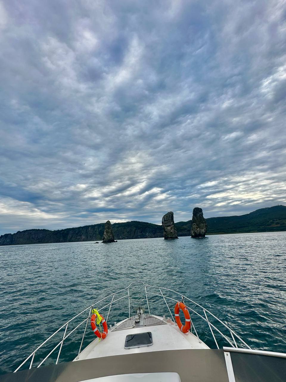 Идем к китам и косаткам - Морской круиз на Камчатке (11/39)