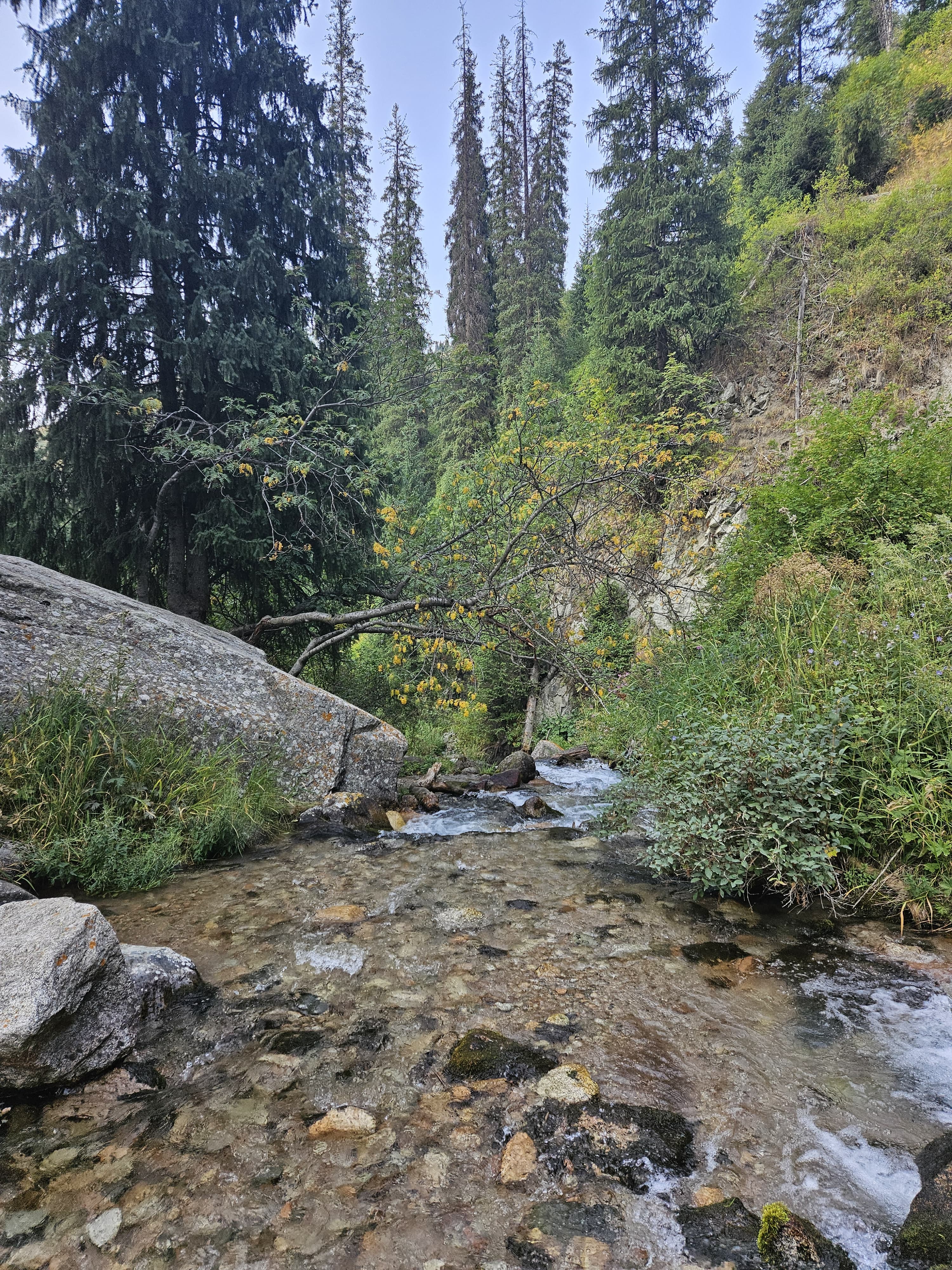 Казахстан. Альплагерь Туюк Су. Радиалки (15/16)