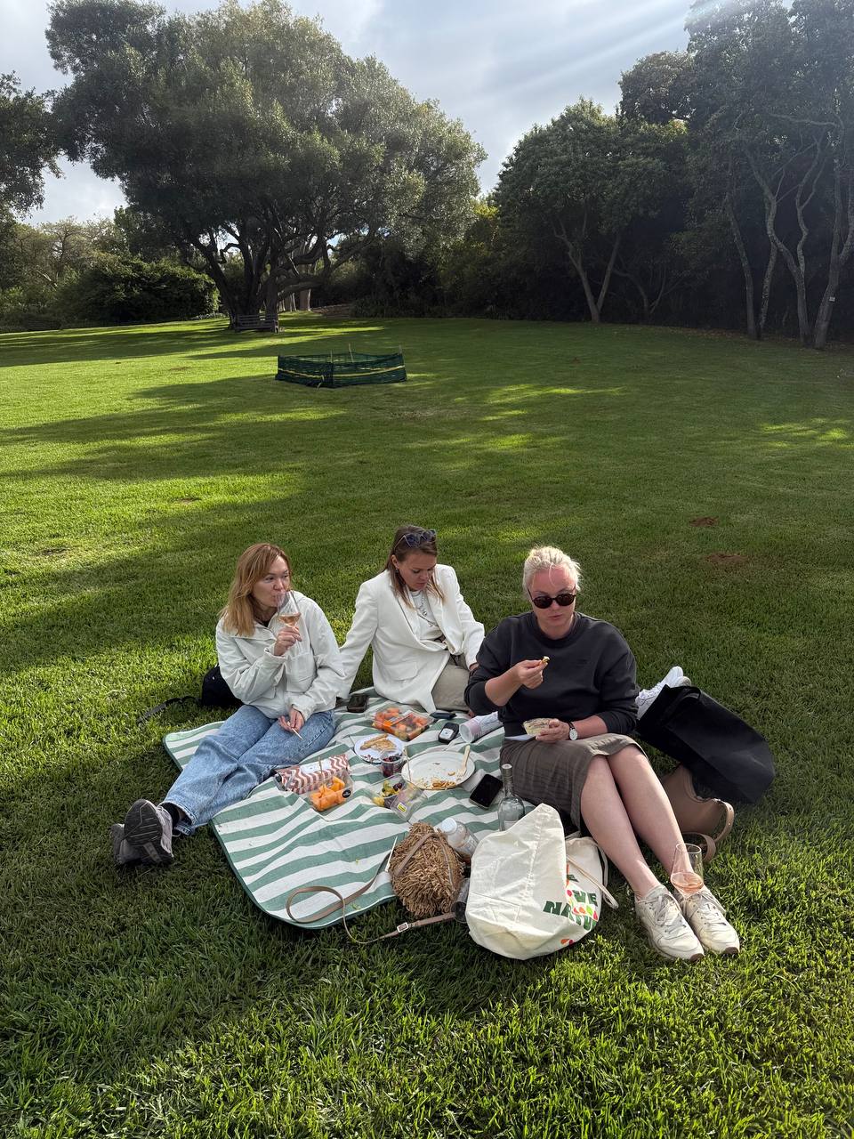 Юар, Зимбабве и Ботсвана смарт (5/46)