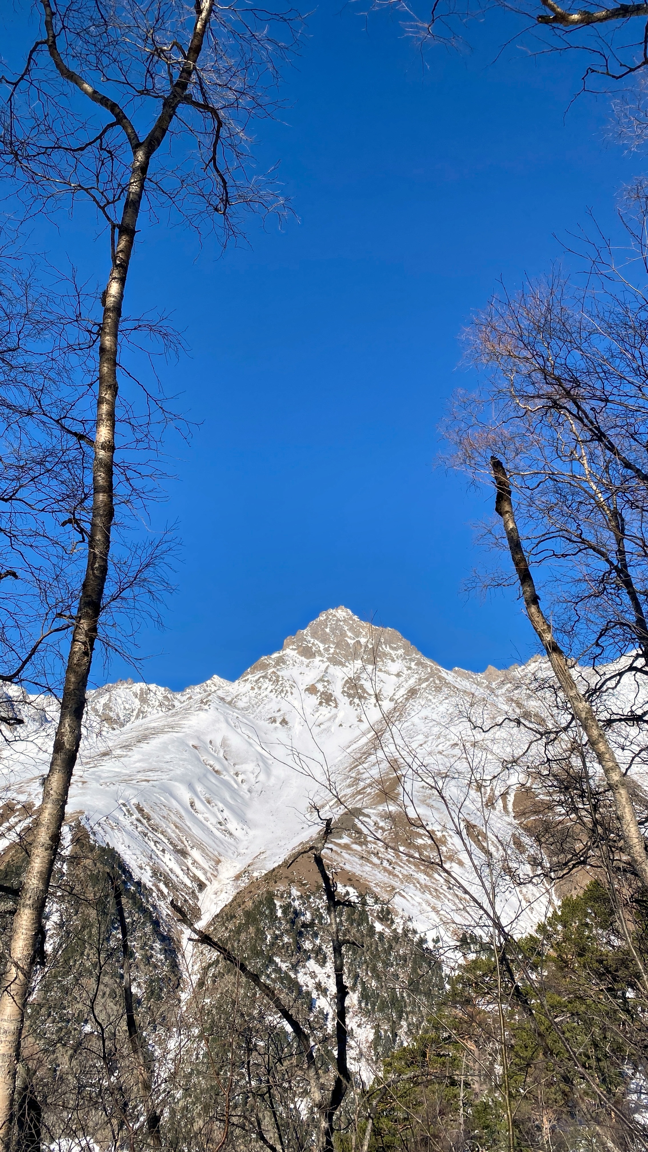 Тур в Архыз без рюкзаков на 7 дней Дочь Гор (23/130)