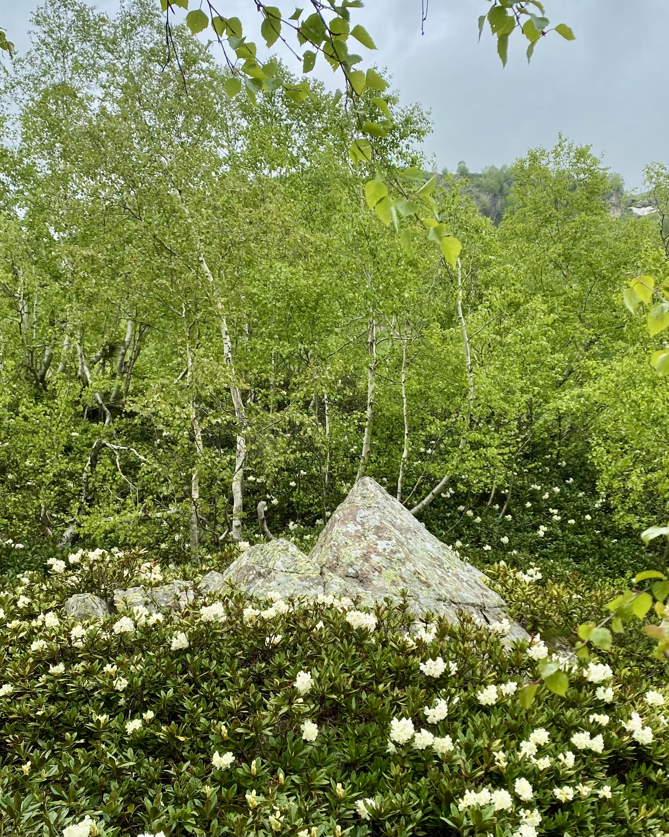 Тур в Архыз без рюкзаков на 7 дней Дочь Гор (39/130)