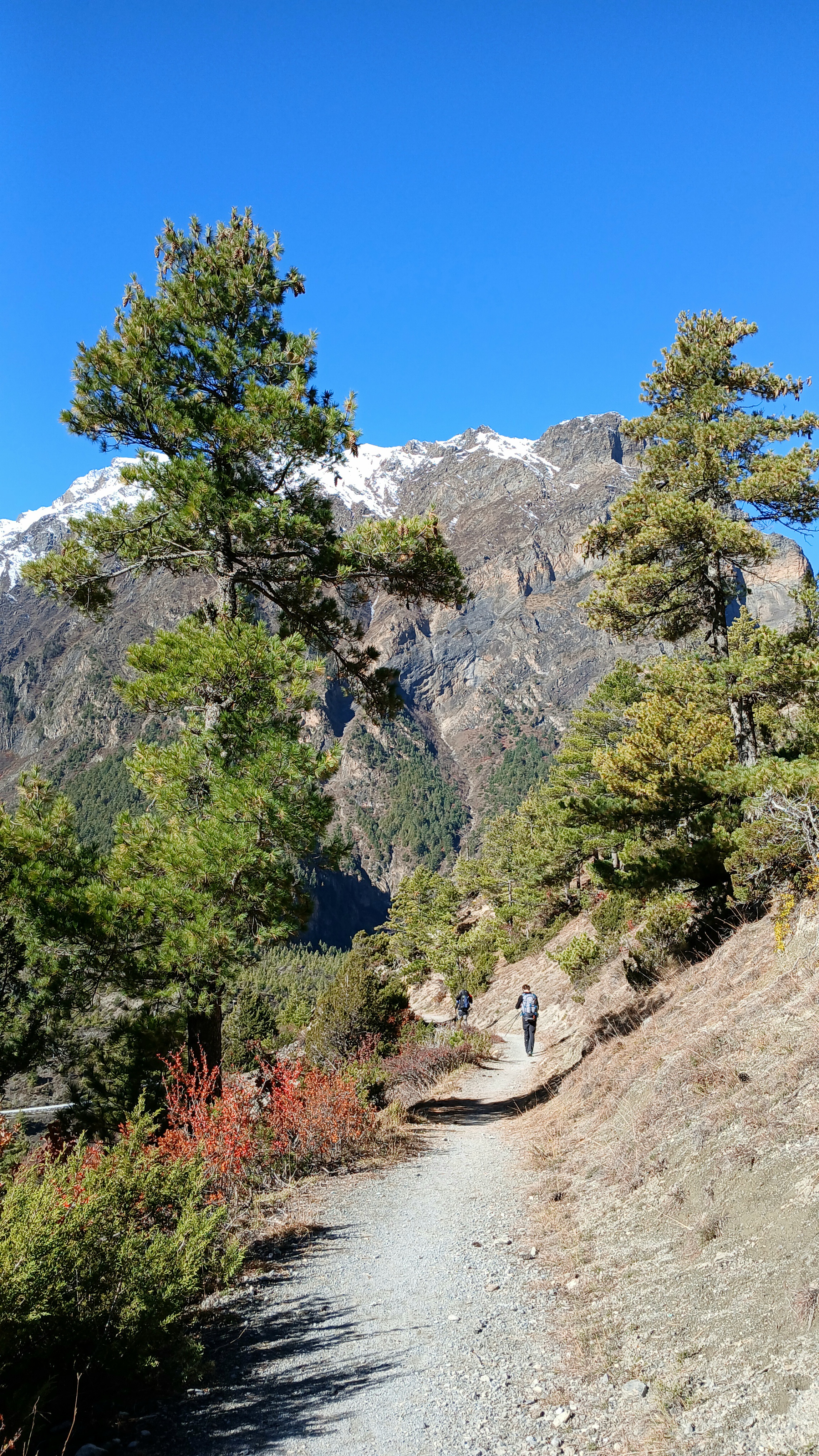 Кольцо Манаслу: классический треккинг + йога, медитация (10/17)