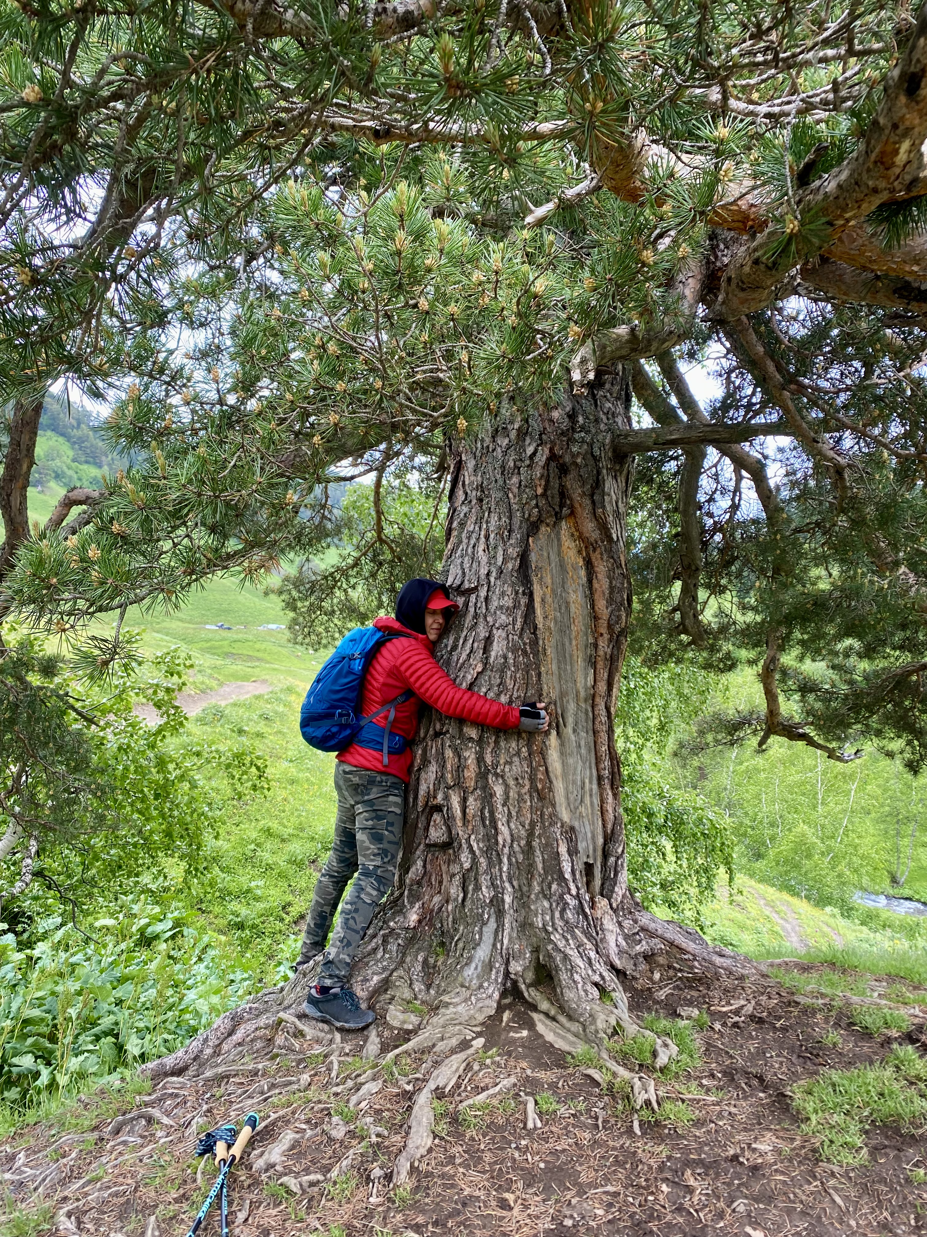 Тур в Архыз без рюкзаков на 7 дней Дочь Гор (35/130)