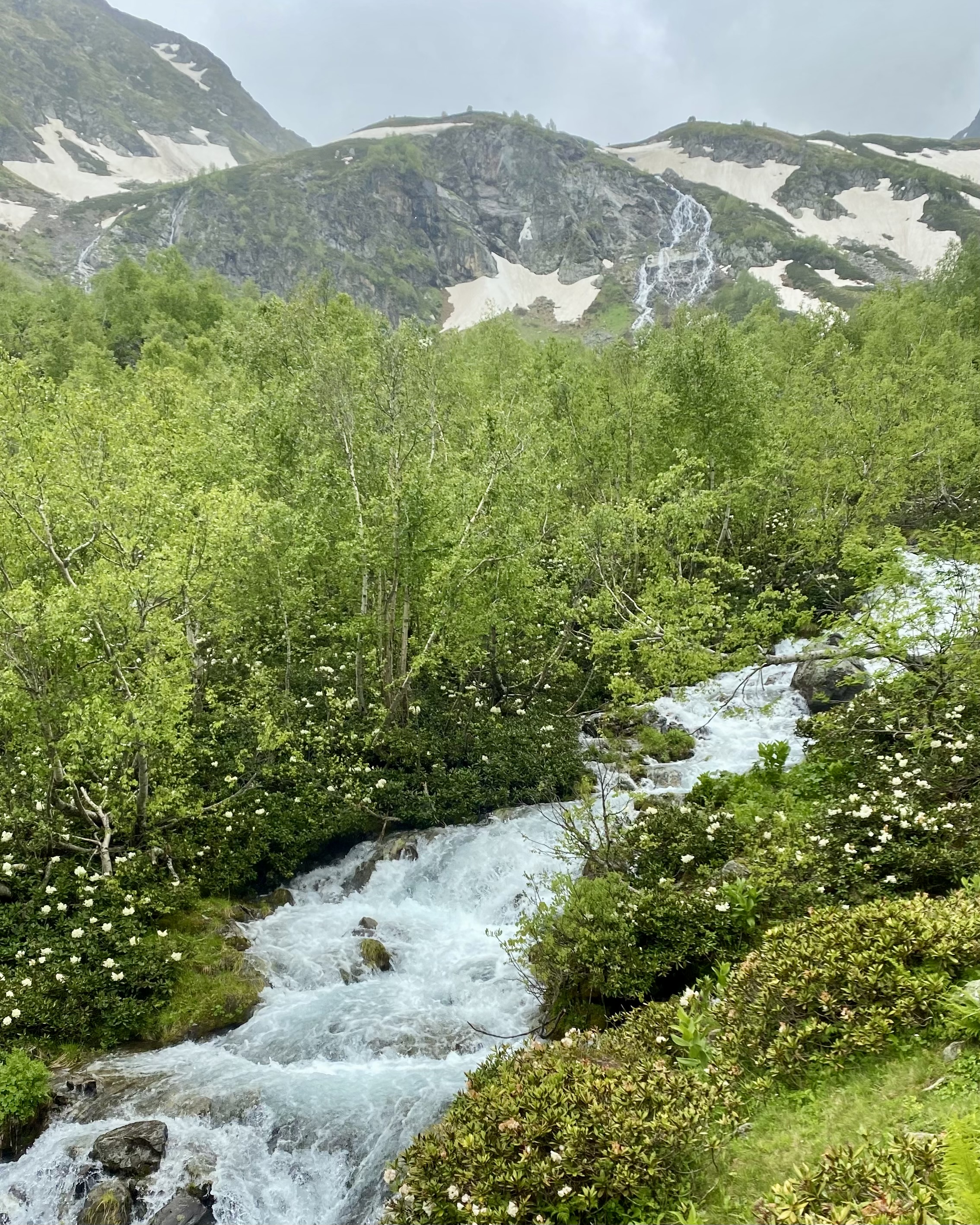 Тур в Архыз без рюкзаков на 7 дней Дочь Гор (38/130)