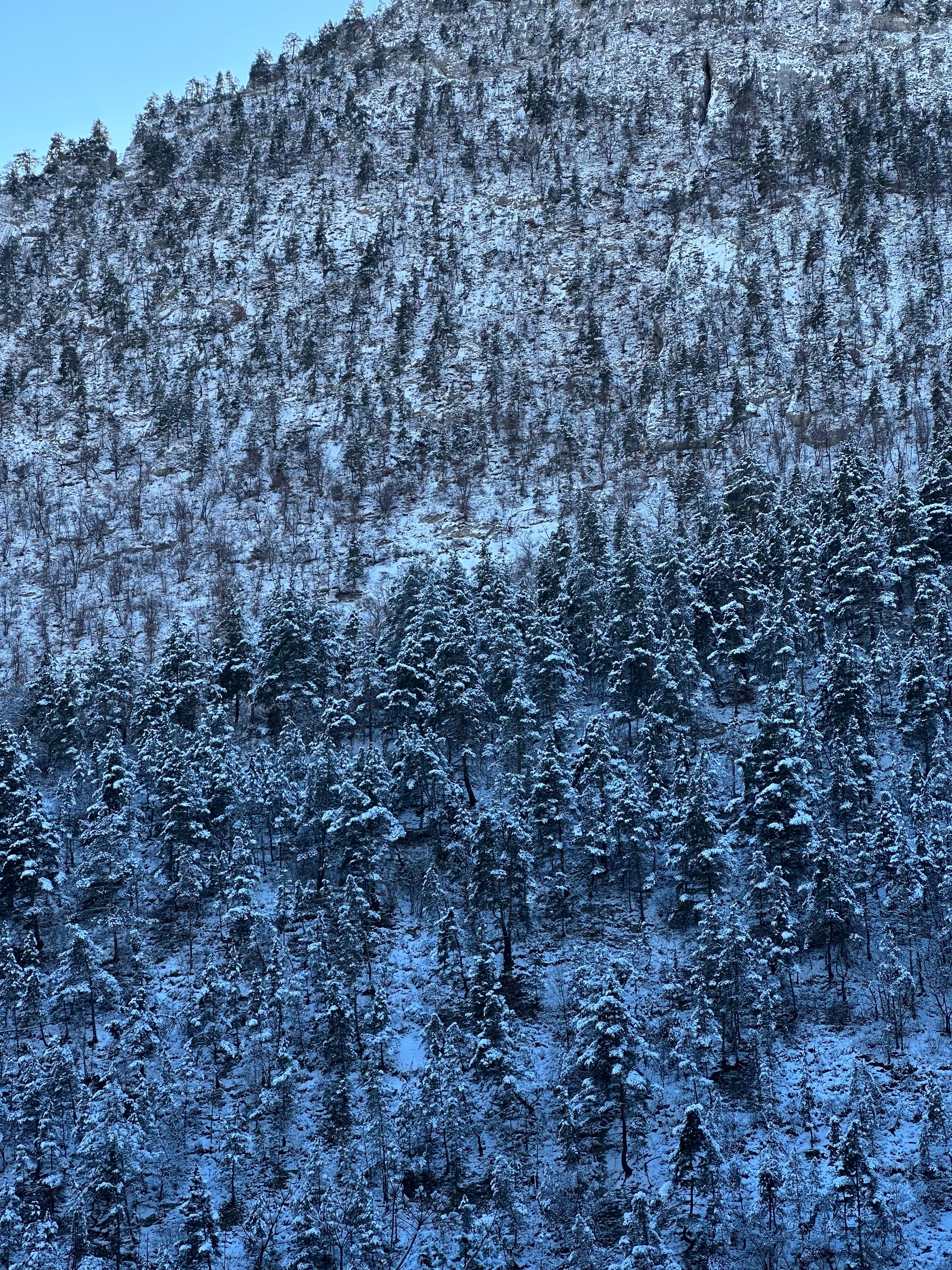 Открывая Дагестан: за три дня к сердцу Кавказа (Все Включено) (32/107)