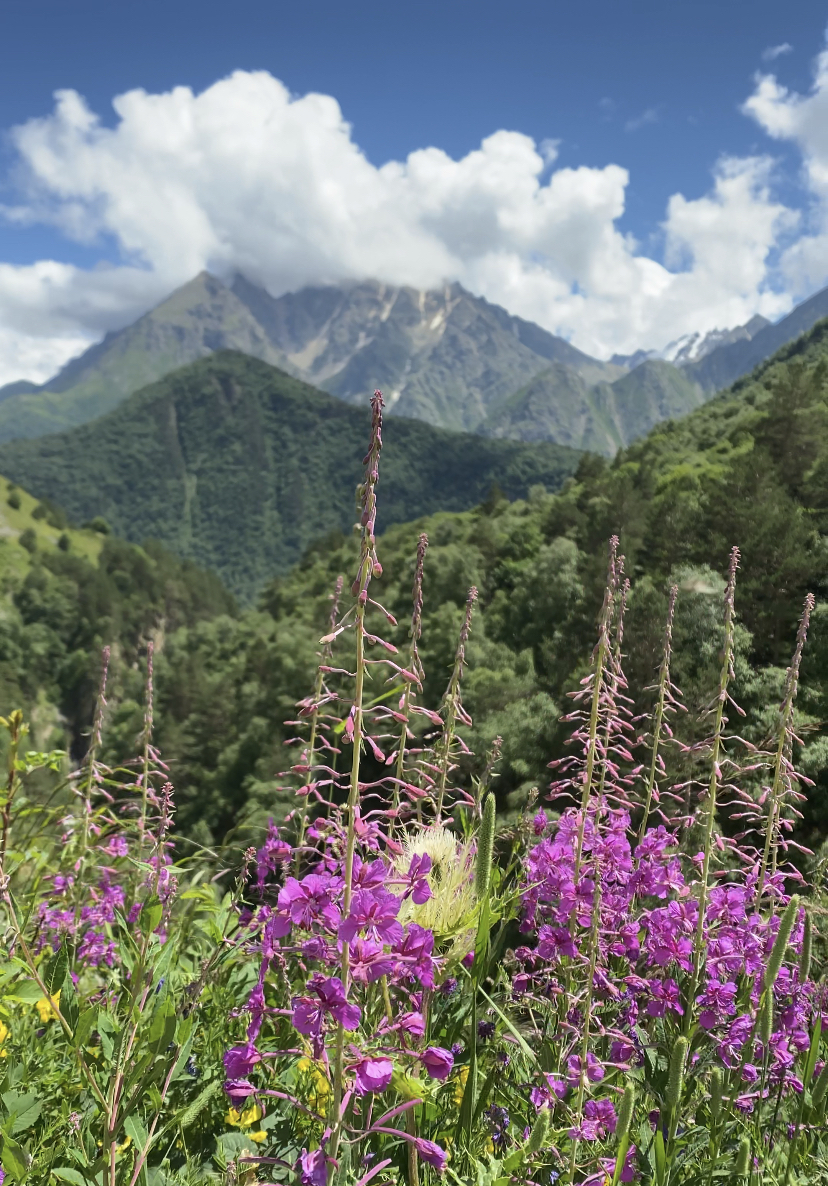Тур в Архыз без рюкзаков на 7 дней Дочь Гор (56/130)