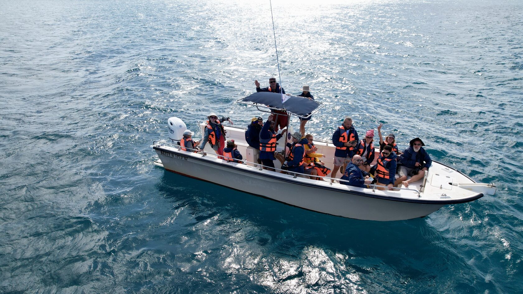 Мадагаскар: лемуры, киты, пиратский остров, Аллея баобабов, Фамадихана, Большие Цинги (16/17)