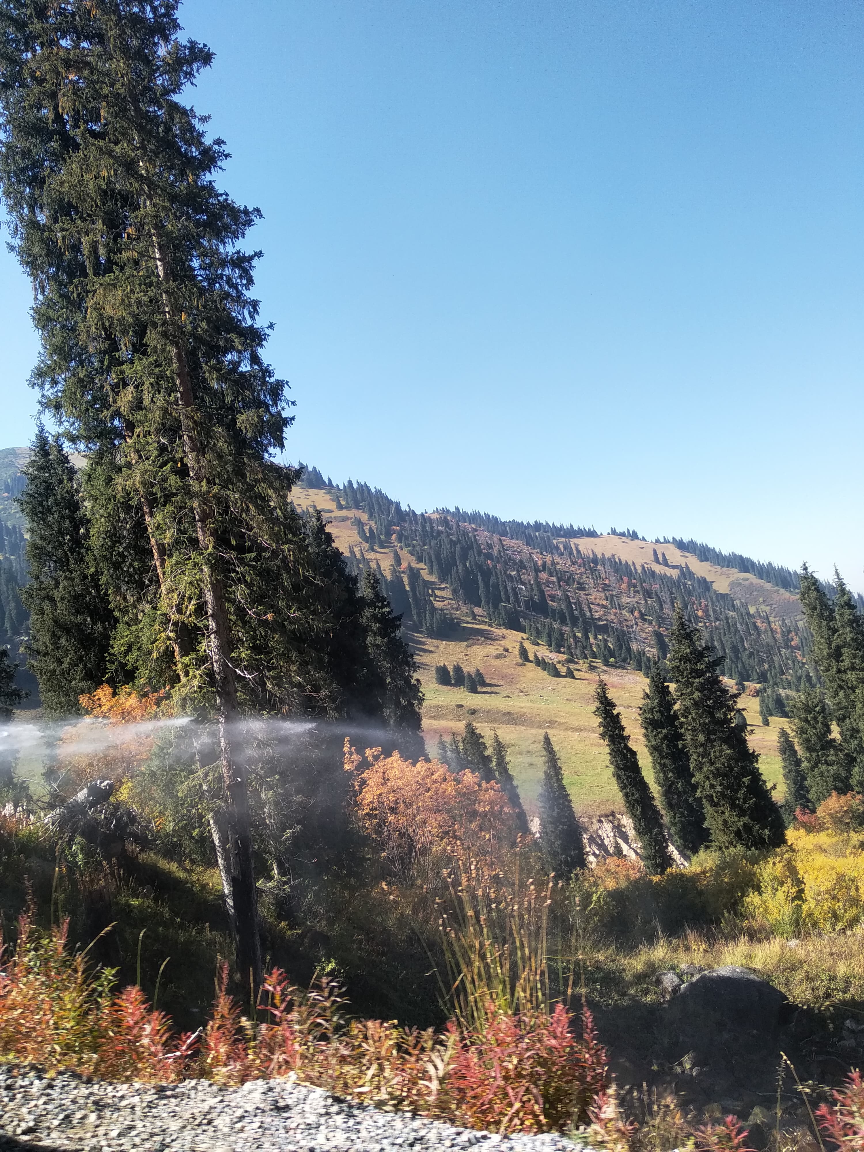 Казахстан. Альплагерь Туюк Су. Радиалки (9/16)