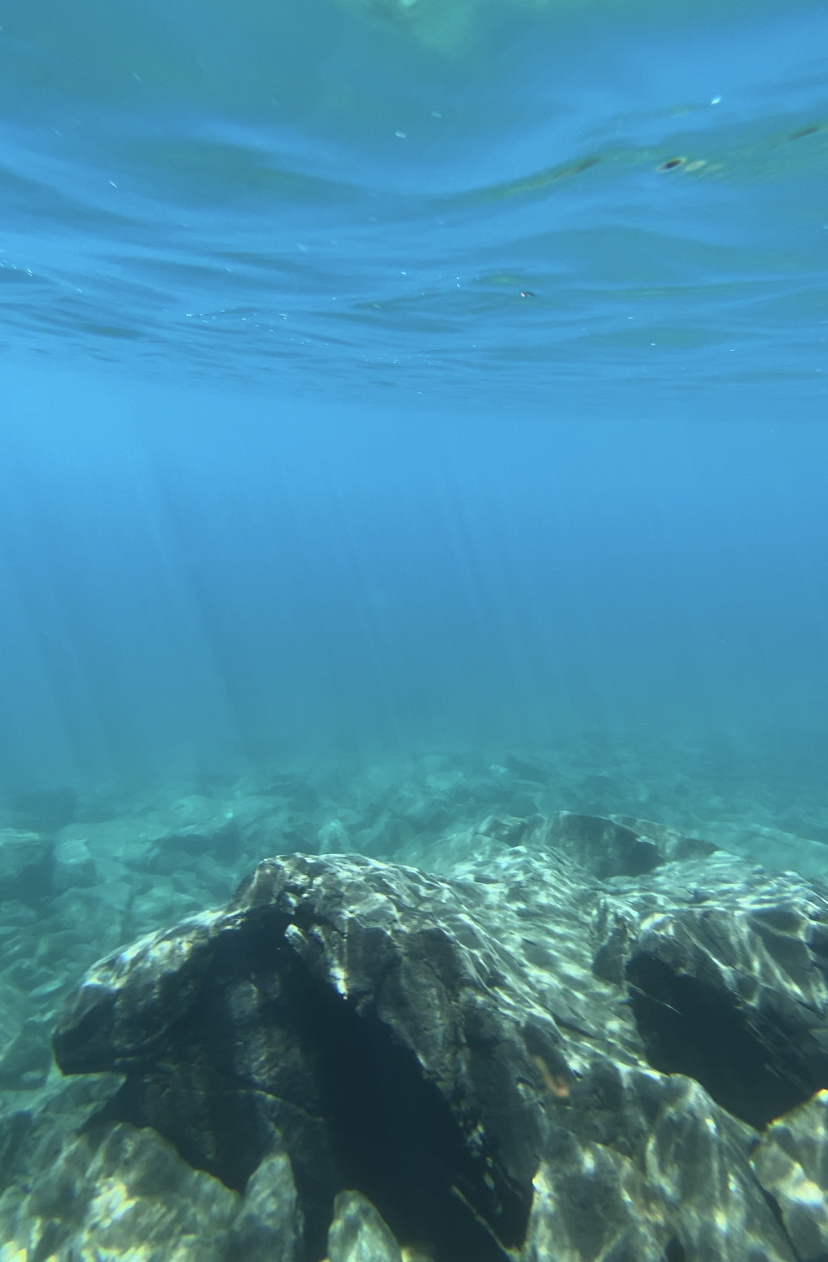 Тур в Архыз без рюкзаков на 7 дней Дочь Гор (55/130)