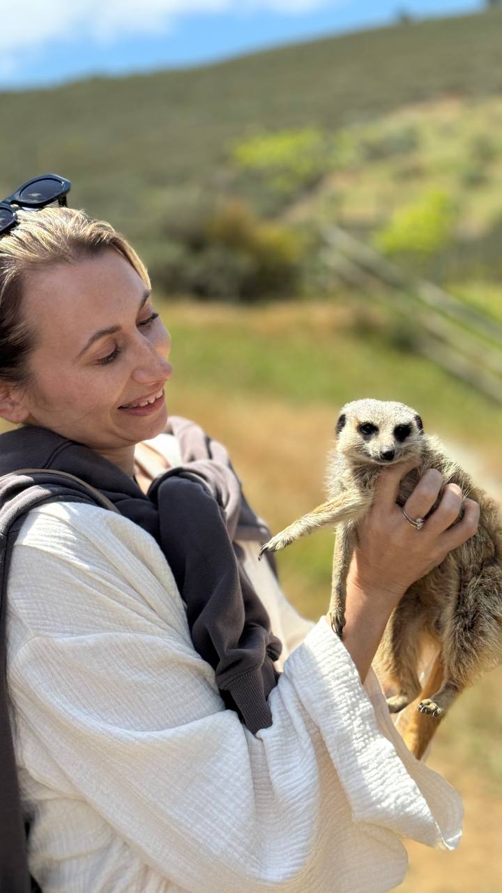 Встреча с гепардами