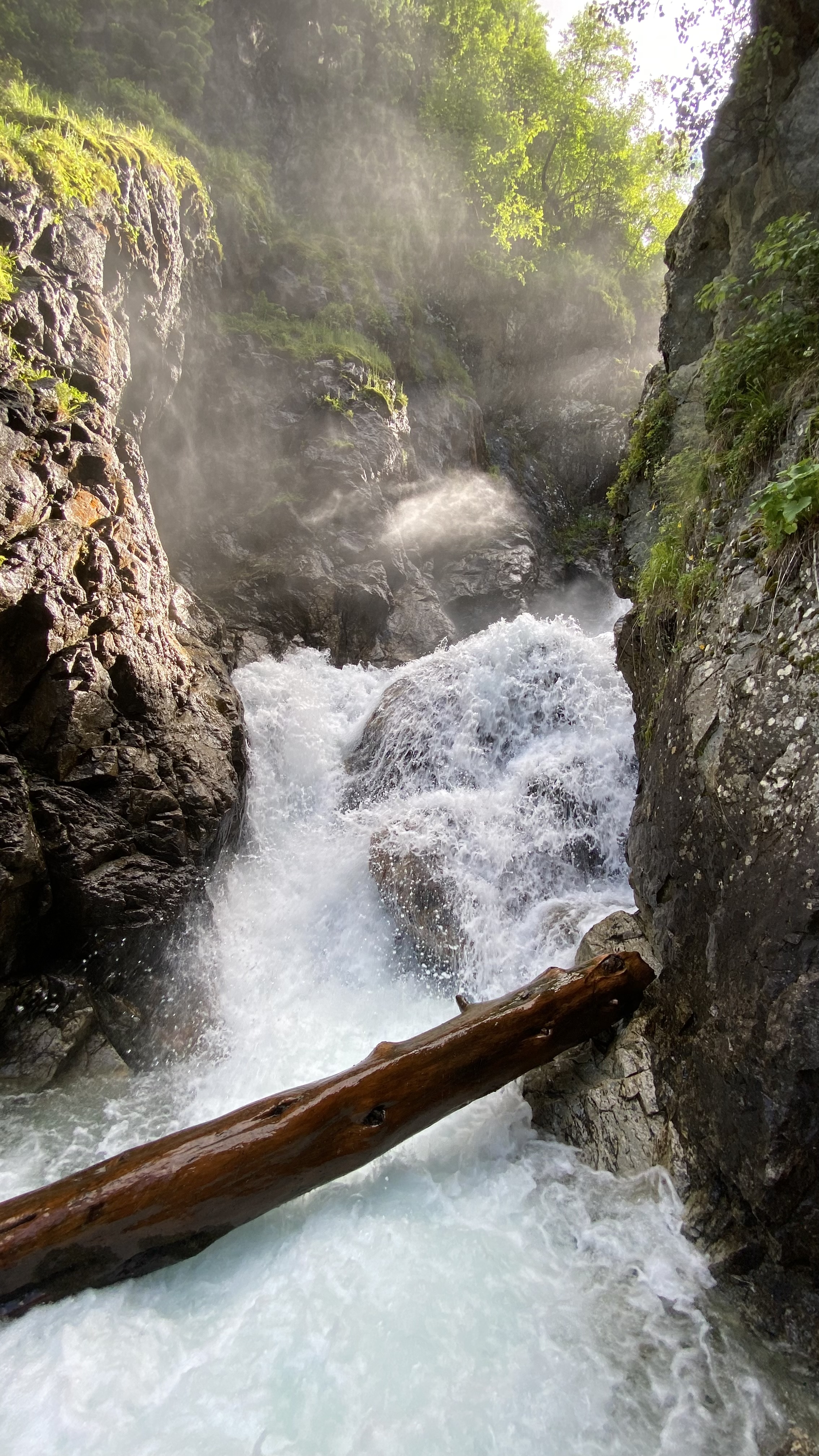 Тур в Архыз без рюкзаков на 7 дней Дочь Гор (61/130)