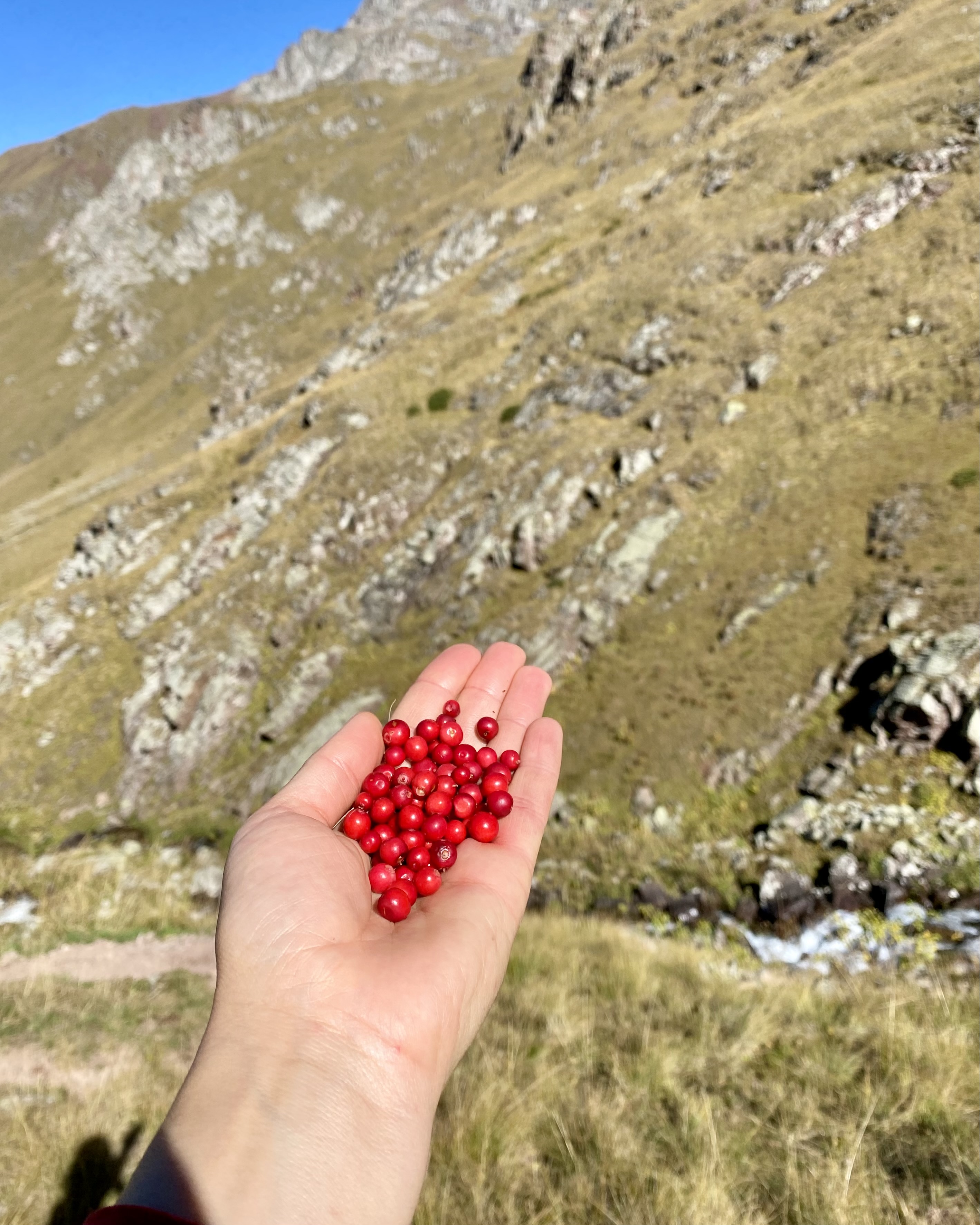 Тур в Архыз без рюкзаков на 7 дней Дочь Гор (90/130)