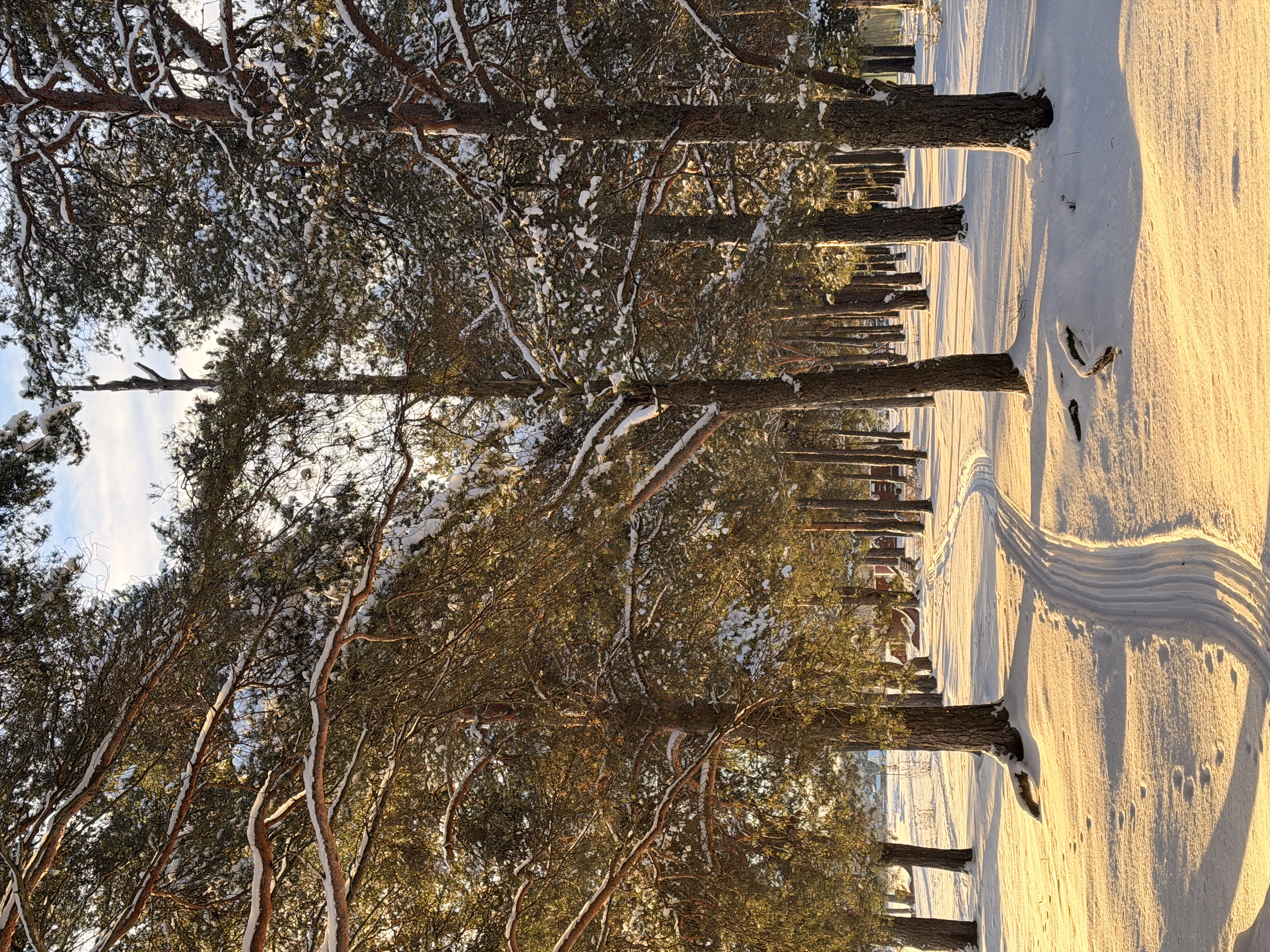 Зимняя сказка. Лучшие места и Глэмпинг. Комфорт, мини группы, любые даты (55/67)