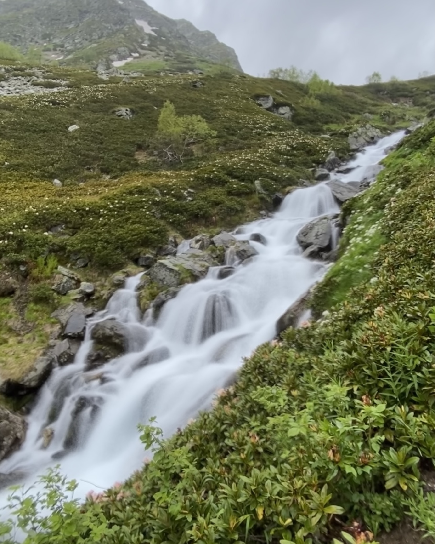 Тур в Архыз без рюкзаков на 7 дней Дочь Гор (40/130)