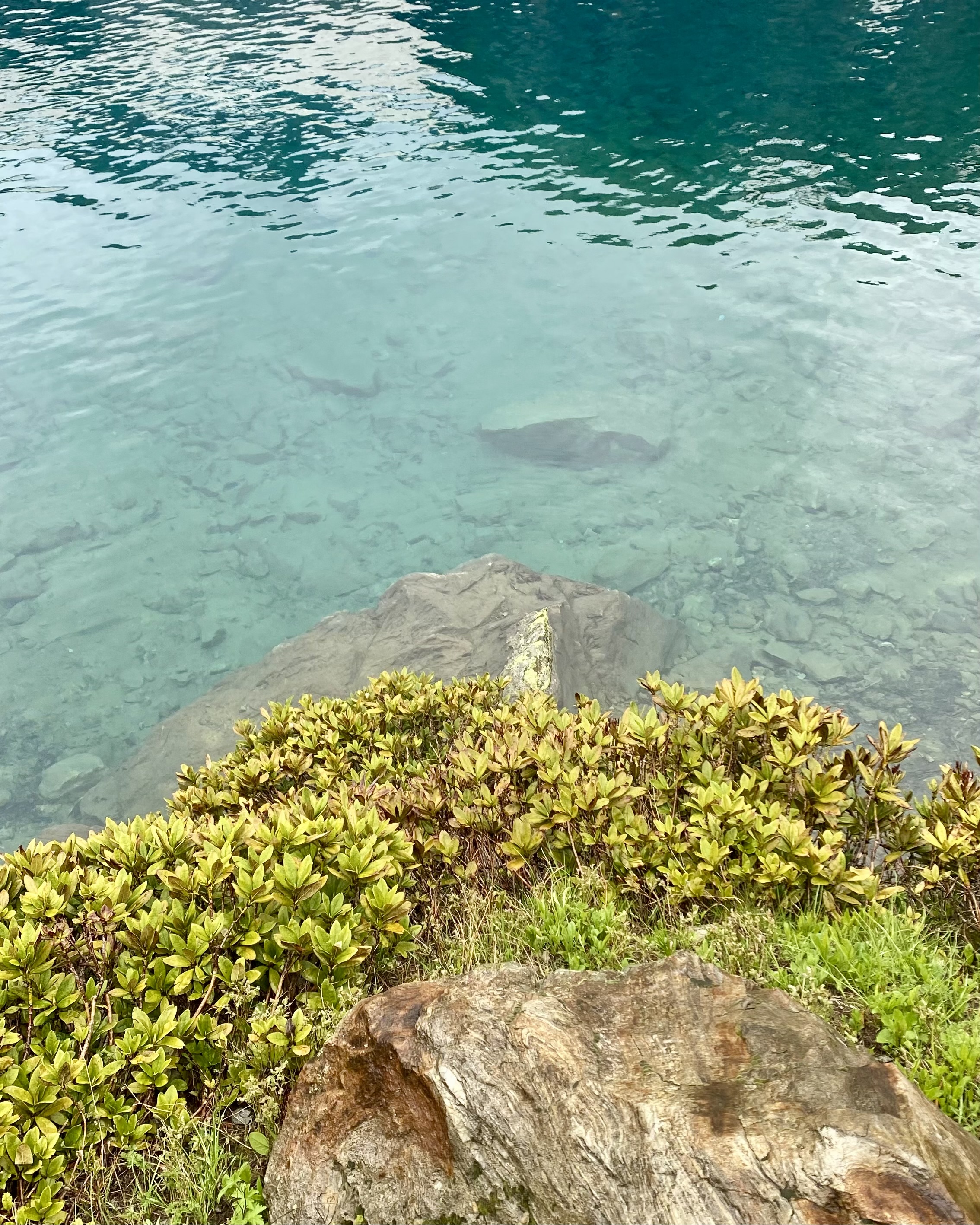 Тур в Архыз без рюкзаков на 7 дней Дочь Гор (42/130)
