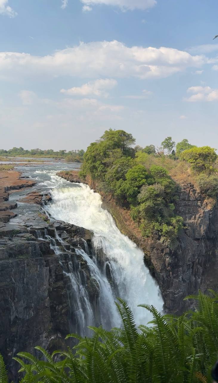 К окрестностям водопада
