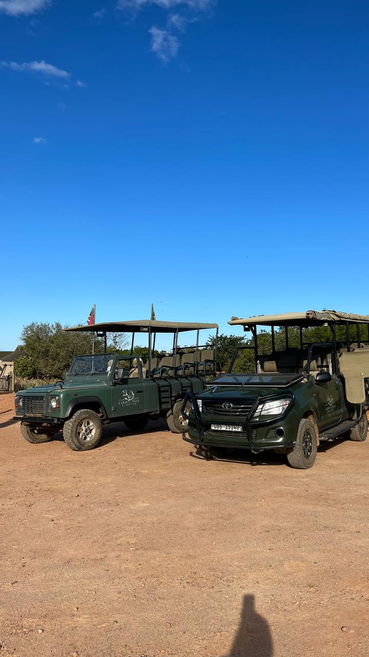 Сафари в Ботсване