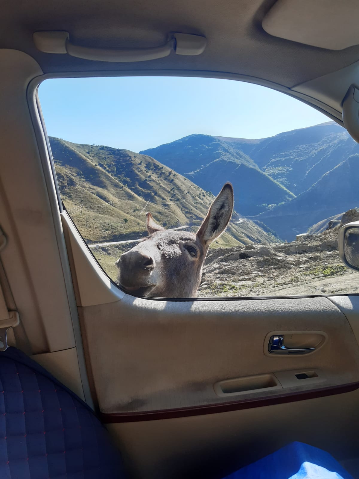 Тайны гор 6 дней