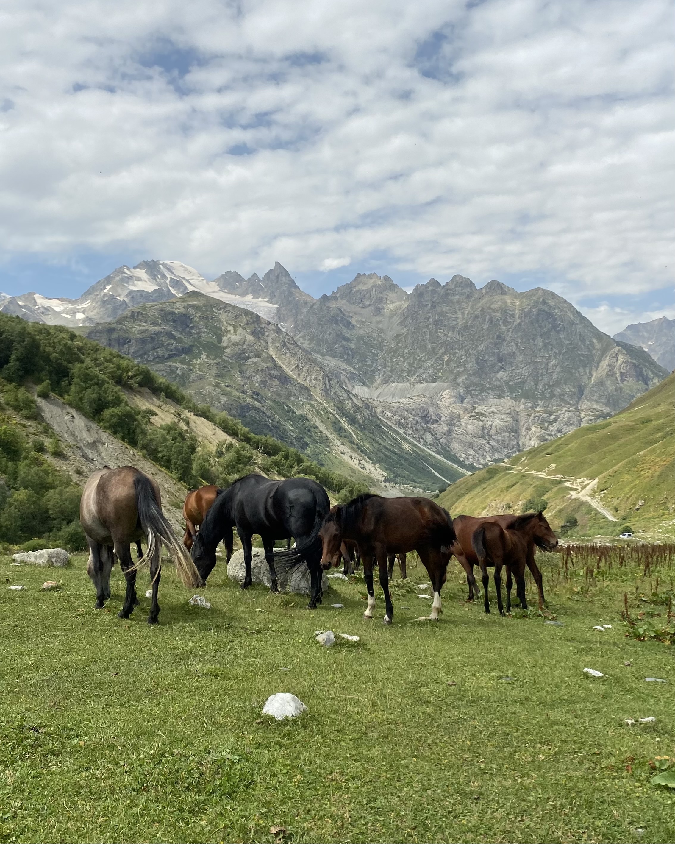 Тур в Архыз без рюкзаков на 7 дней Дочь Гор (109/130)