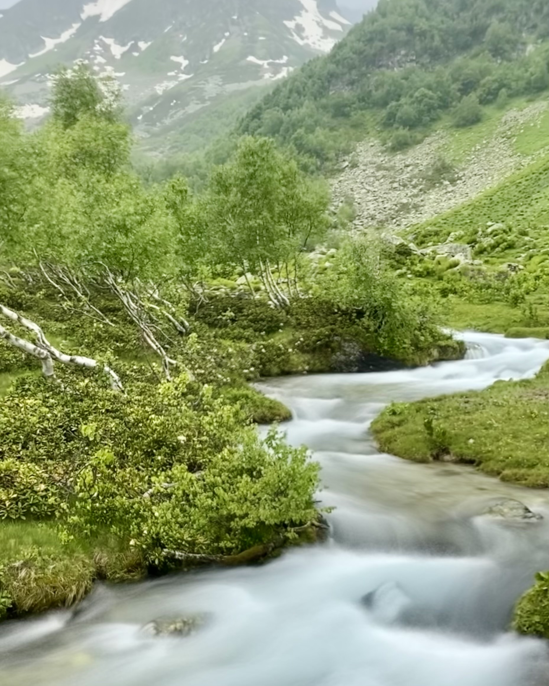 Тур в Архыз без рюкзаков на 7 дней Дочь Гор (36/130)